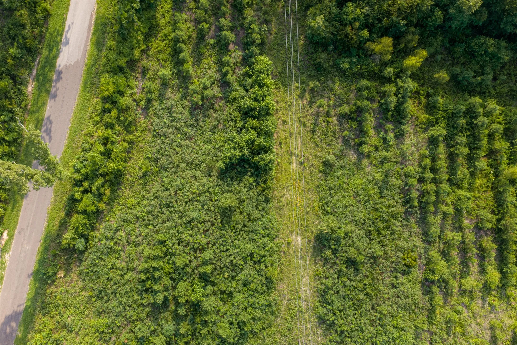 Unimproved Land For Sale in Rusk County , 00 County Road 436, Laneville, Texas 75667, 0, 0, Garage spaces, 0 Sqft, built in 0, mls#21326431, Real Estate Agent in Laneville, Homes For Sale in Rusk county, Homes For Sale in Laneville, Realtor in Laneville Texas, Real Estate Brokerage Independent Realty Texas, Luminita Cordes Realtor
