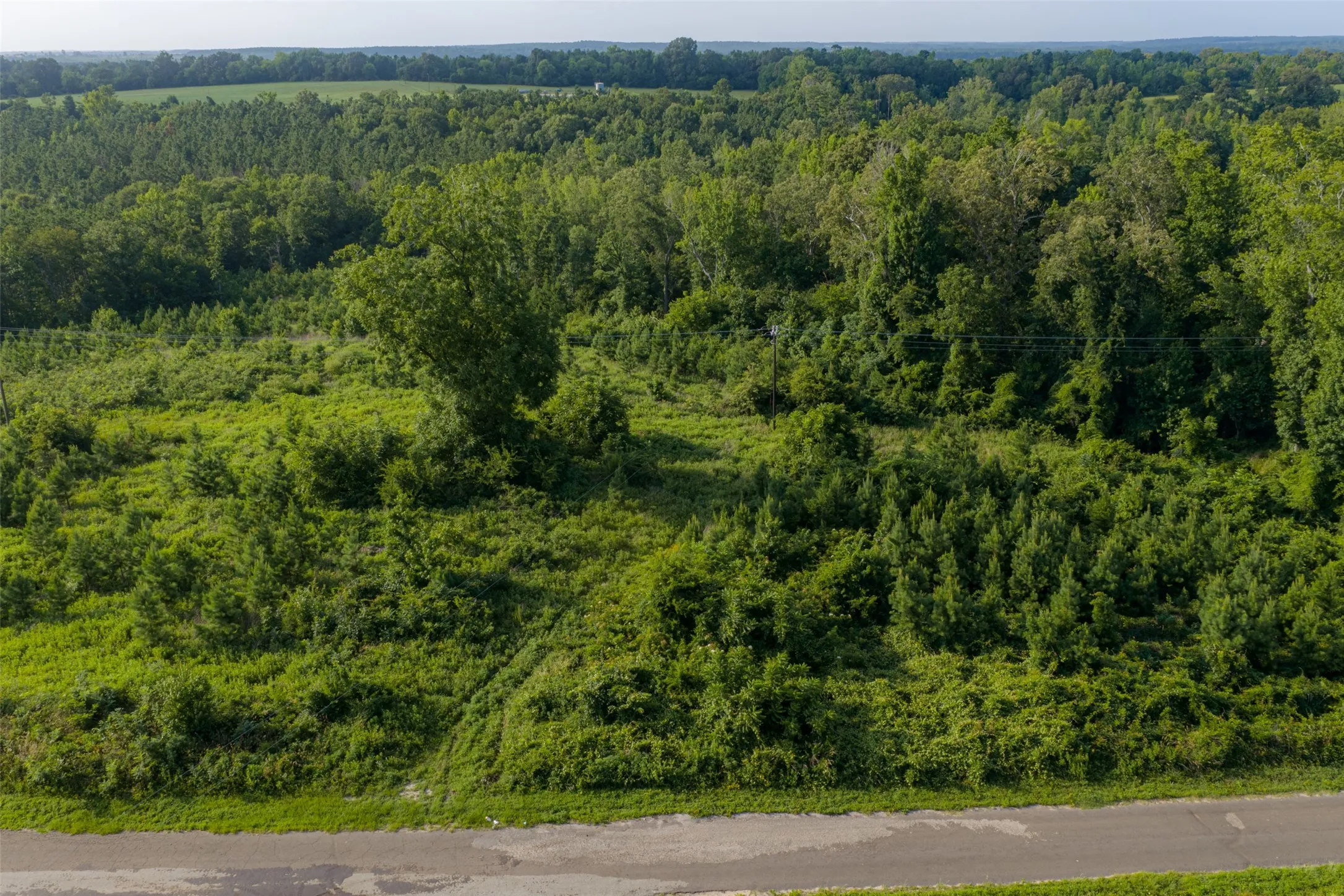 Unimproved Land For Sale in Rusk County , 00 County Road 436, Laneville, Texas 75667, 0, 0, Garage spaces, 0 Sqft, built in 0, mls#21326431, Real Estate Agent in Laneville, Homes For Sale in Rusk county, Homes For Sale in Laneville, Realtor in Laneville Texas, Real Estate Brokerage Independent Realty Texas, Luminita Cordes Realtor
