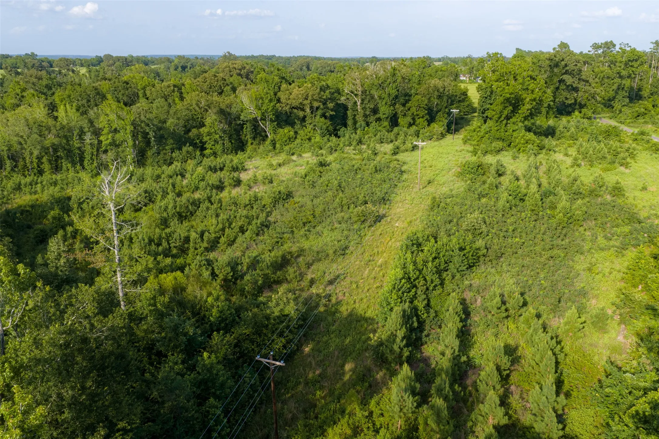 Unimproved Land For Sale in Rusk County , 00 County Road 436, Laneville, Texas 75667, 0, 0, Garage spaces, 0 Sqft, built in 0, mls#21326431, Real Estate Agent in Laneville, Homes For Sale in Rusk county, Homes For Sale in Laneville, Realtor in Laneville Texas, Real Estate Brokerage Independent Realty Texas, Luminita Cordes Realtor