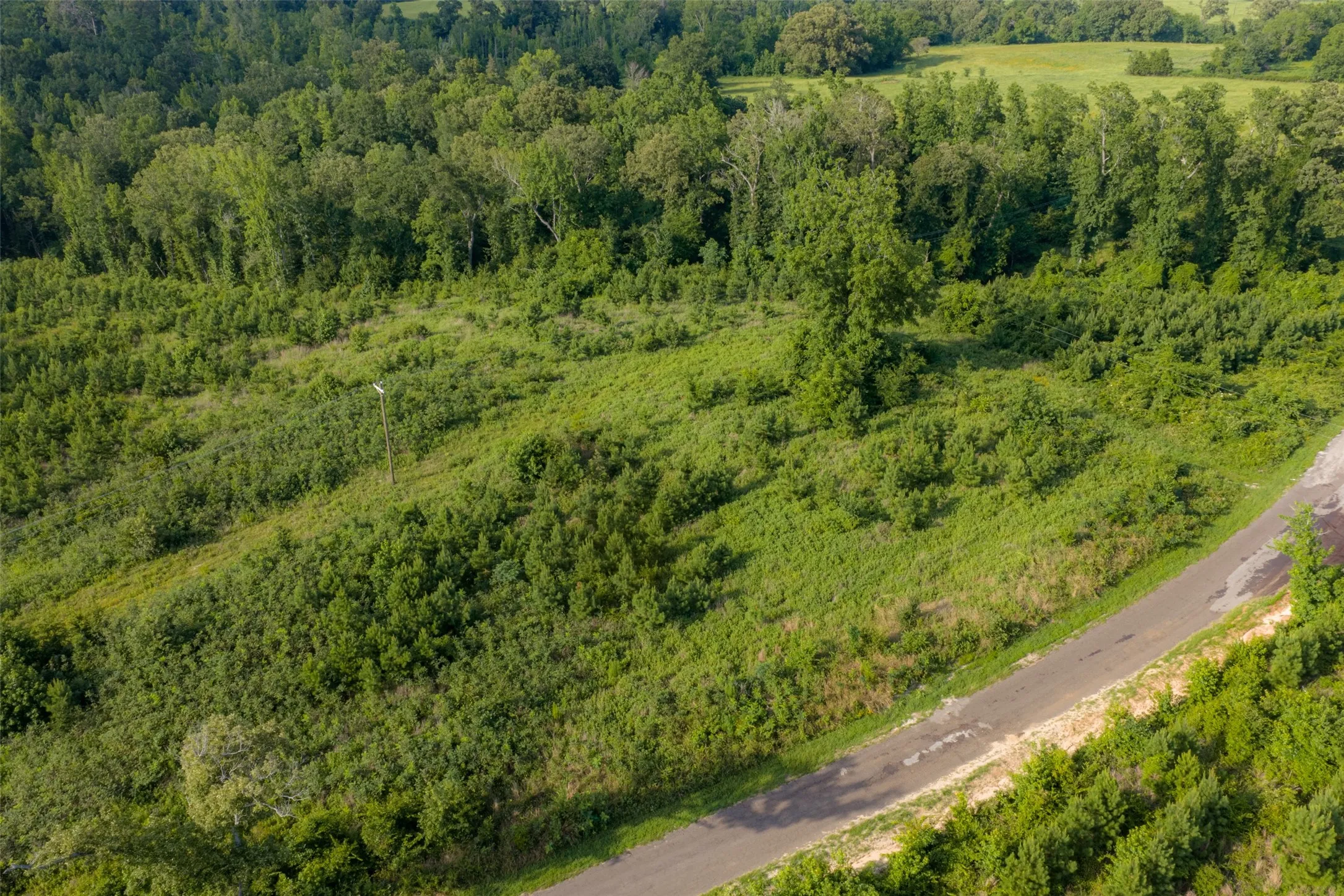 Unimproved Land For Sale in Rusk County , 00 County Road 436, Laneville, Texas 75667, 0, 0, Garage spaces, 0 Sqft, built in 0, mls#21326431, Real Estate Agent in Laneville, Homes For Sale in Rusk county, Homes For Sale in Laneville, Realtor in Laneville Texas, Real Estate Brokerage Independent Realty Texas, Luminita Cordes Realtor