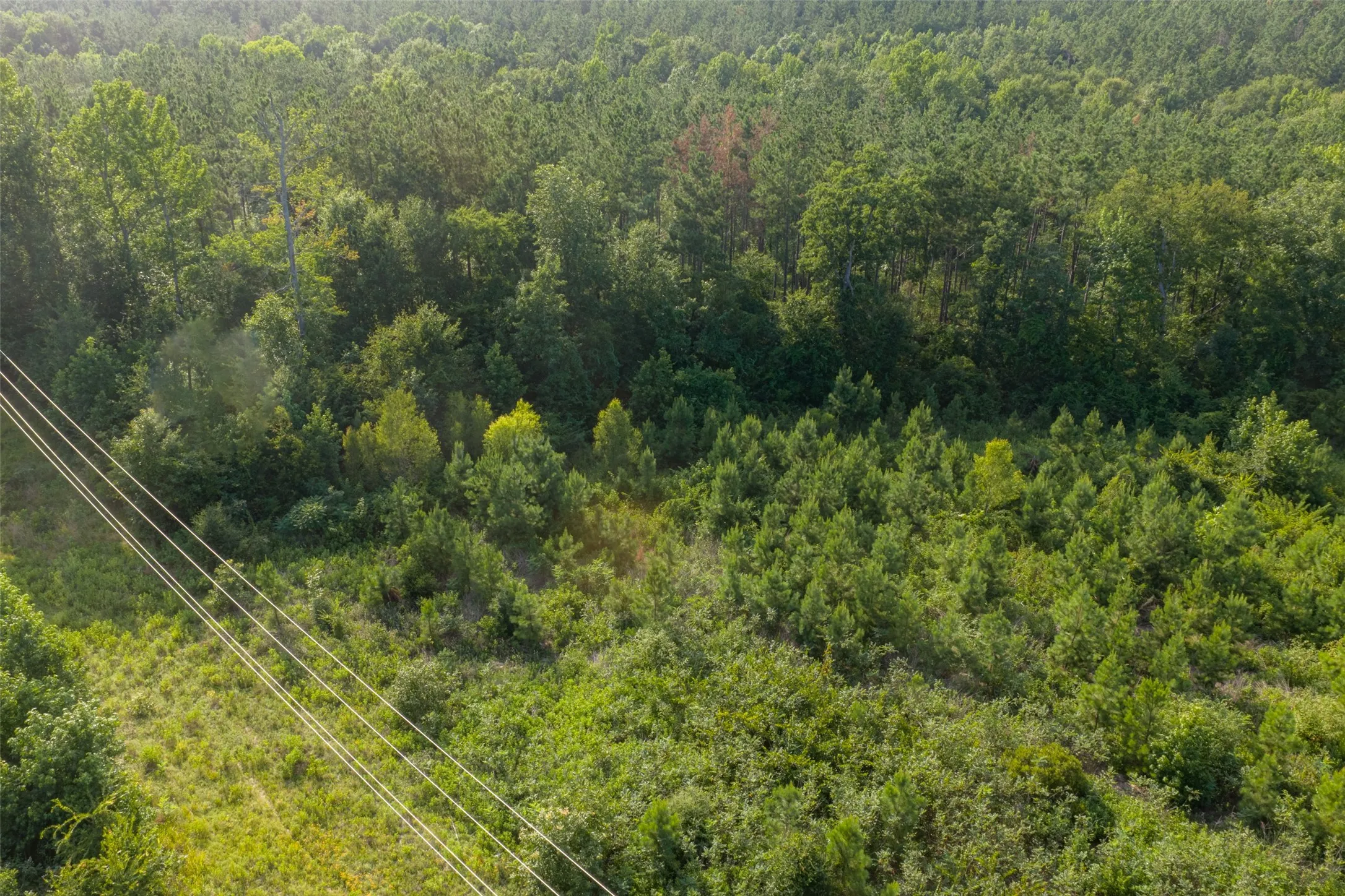 Unimproved Land For Sale in Rusk County , 00 County Road 436, Laneville, Texas 75667, 0, 0, Garage spaces, 0 Sqft, built in 0, mls#21326431, Real Estate Agent in Laneville, Homes For Sale in Rusk county, Homes For Sale in Laneville, Realtor in Laneville Texas, Real Estate Brokerage Independent Realty Texas, Luminita Cordes Realtor