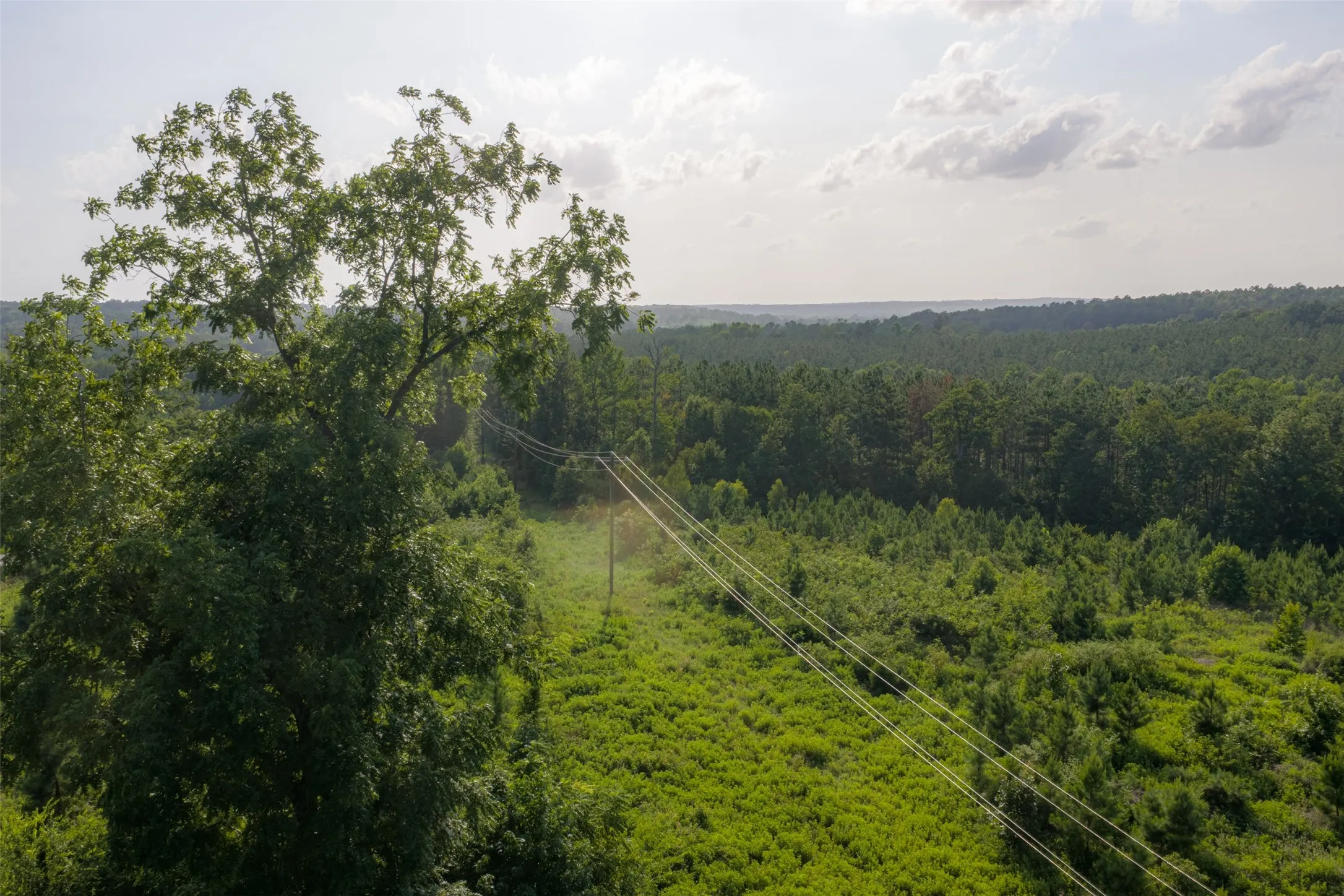 Unimproved Land For Sale in Rusk County , 00 County Road 436, Laneville, Texas 75667, 0, 0, Garage spaces, 0 Sqft, built in 0, mls#21326431, Real Estate Agent in Laneville, Homes For Sale in Rusk county, Homes For Sale in Laneville, Realtor in Laneville Texas, Real Estate Brokerage Independent Realty Texas, Luminita Cordes Realtor