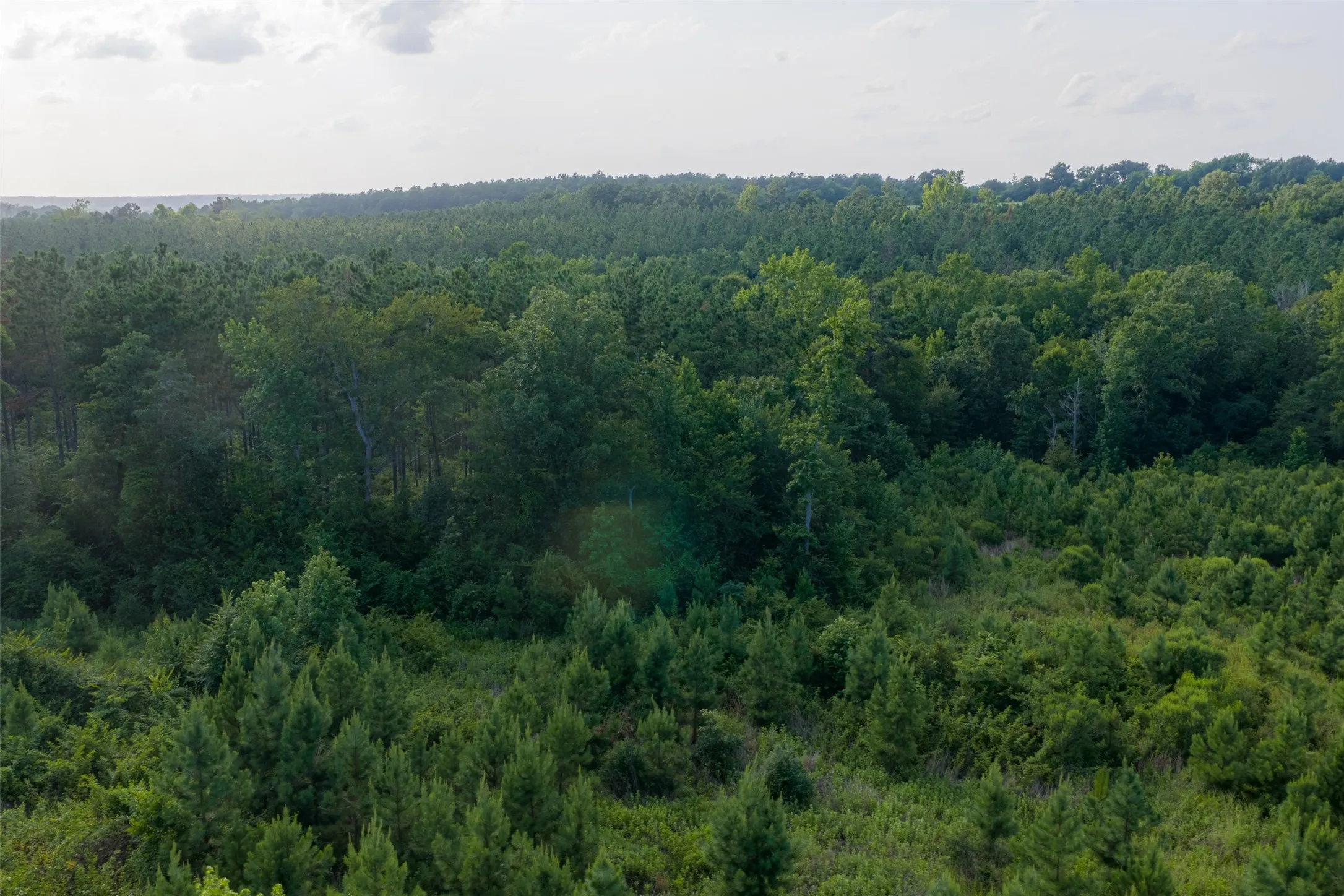 Unimproved Land For Sale in Rusk County , 00 County Road 436, Laneville, Texas 75667, 0, 0, Garage spaces, 0 Sqft, built in 0, mls#21326431, Real Estate Agent in Laneville, Homes For Sale in Rusk county, Homes For Sale in Laneville, Realtor in Laneville Texas, Real Estate Brokerage Independent Realty Texas, Luminita Cordes Realtor