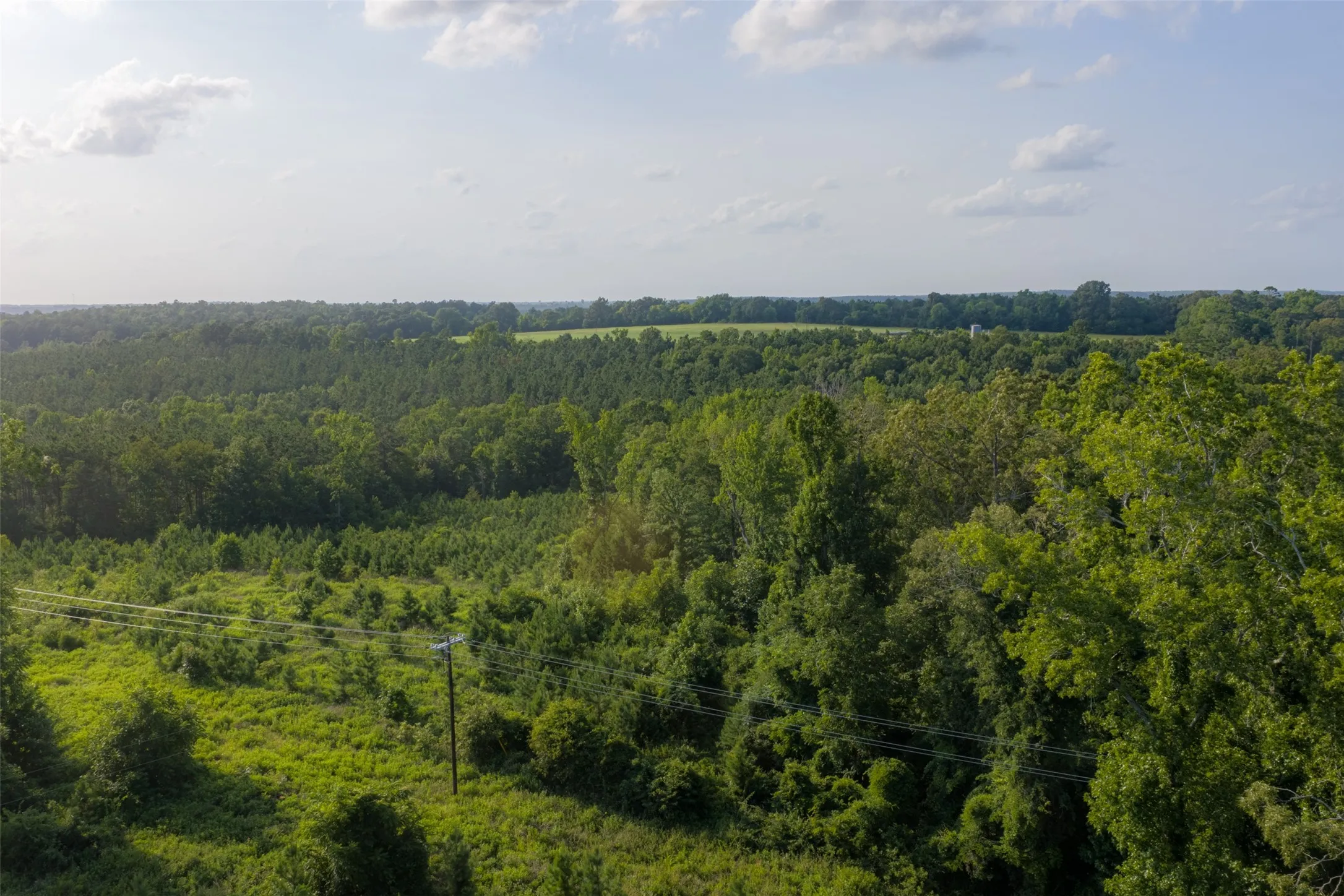 Unimproved Land For Sale in Rusk County , 00 County Road 436, Laneville, Texas 75667, 0, 0, Garage spaces, 0 Sqft, built in 0, mls#21326431, Real Estate Agent in Laneville, Homes For Sale in Rusk county, Homes For Sale in Laneville, Realtor in Laneville Texas, Real Estate Brokerage Independent Realty Texas, Luminita Cordes Realtor