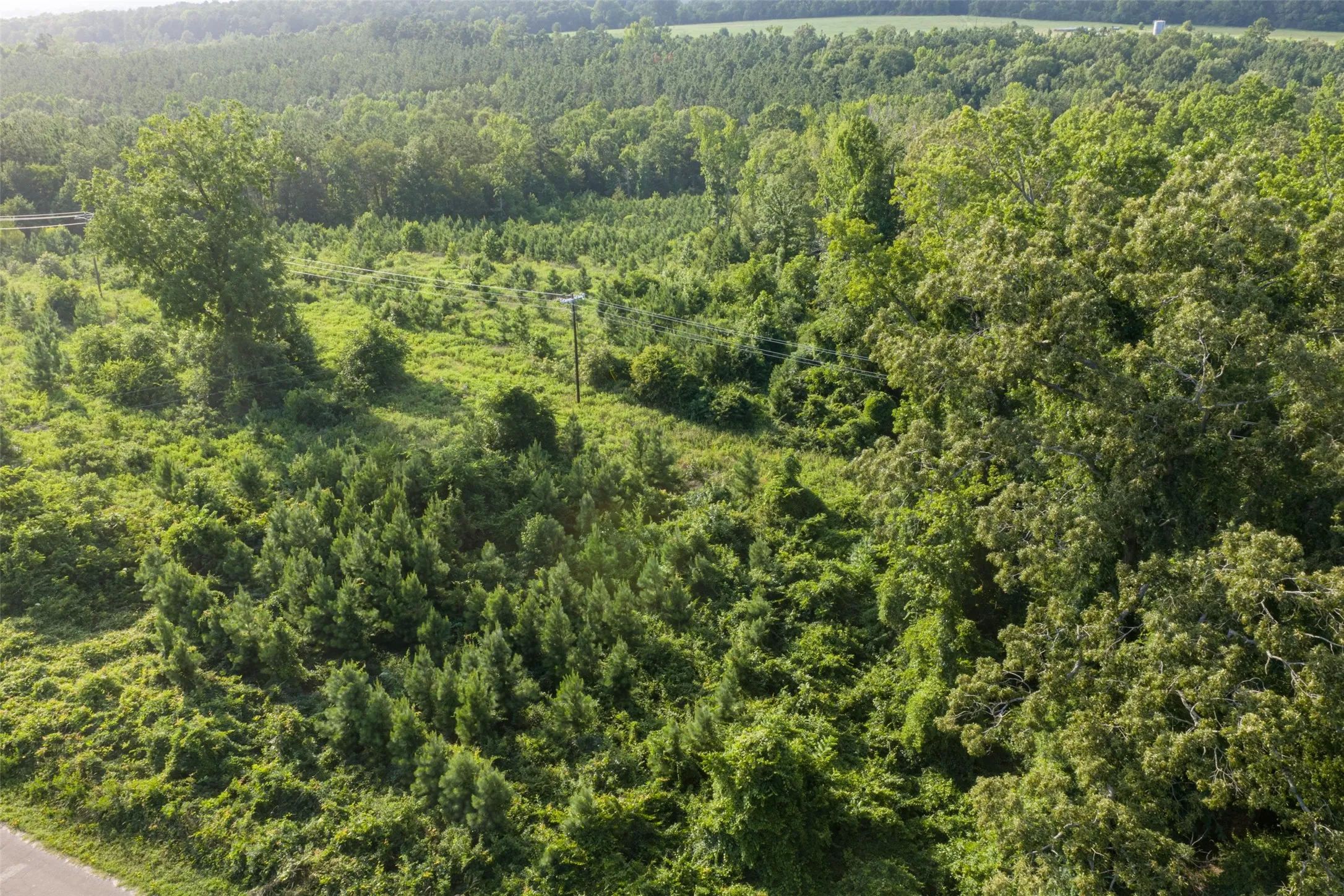 Unimproved Land For Sale in Rusk County , 00 County Road 436, Laneville, Texas 75667, 0, 0, Garage spaces, 0 Sqft, built in 0, mls#21326431, Real Estate Agent in Laneville, Homes For Sale in Rusk county, Homes For Sale in Laneville, Realtor in Laneville Texas, Real Estate Brokerage Independent Realty Texas, Luminita Cordes Realtor