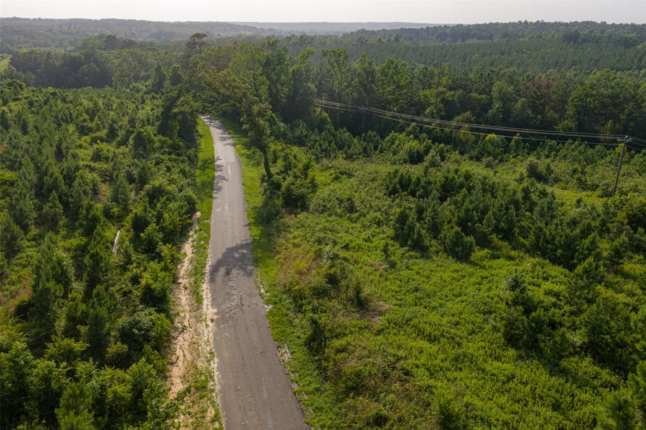 Unimproved Land For Sale in Rusk County , 00 County Road 436, Laneville, Texas 75667, 0, 0, Garage spaces, 0 Sqft, built in 0, mls#21326431, Real Estate Agent in Laneville, Homes For Sale in Rusk county, Homes For Sale in Laneville, Realtor in Laneville Texas, Real Estate Brokerage Independent Realty Texas, Luminita Cordes Realtor