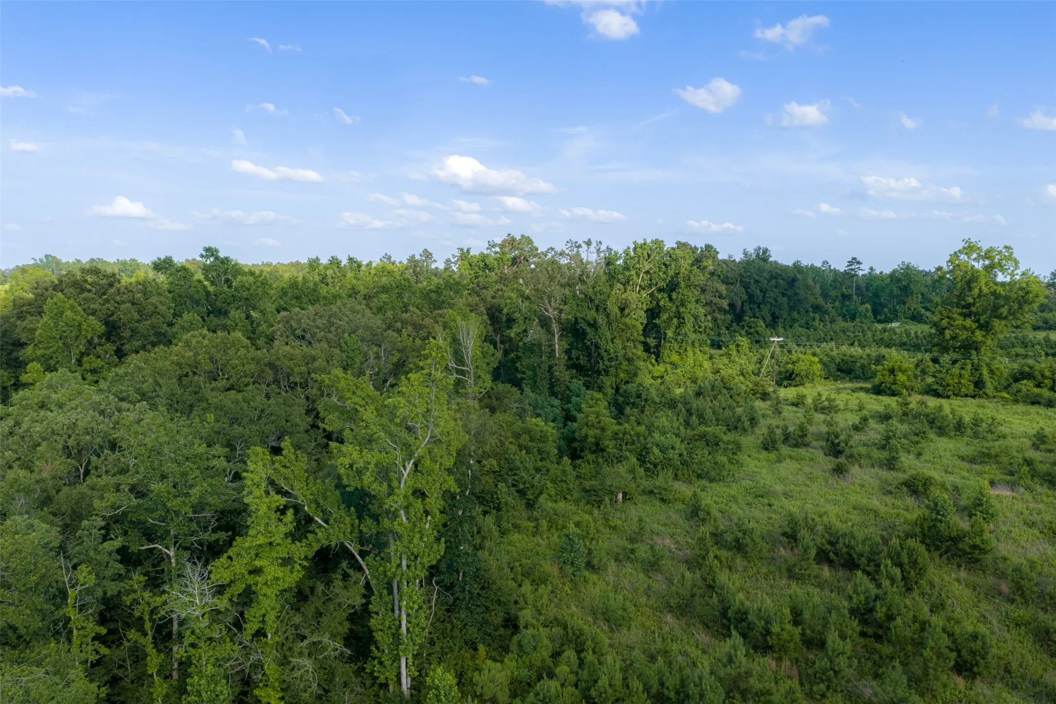 Unimproved Land For Sale in Rusk County , 00 County Road 436, Laneville, Texas 75667, 0, 0, Garage spaces, 0 Sqft, built in 0, mls#21326431, Real Estate Agent in Laneville, Homes For Sale in Rusk county, Homes For Sale in Laneville, Realtor in Laneville Texas, Real Estate Brokerage Independent Realty Texas, Luminita Cordes Realtor