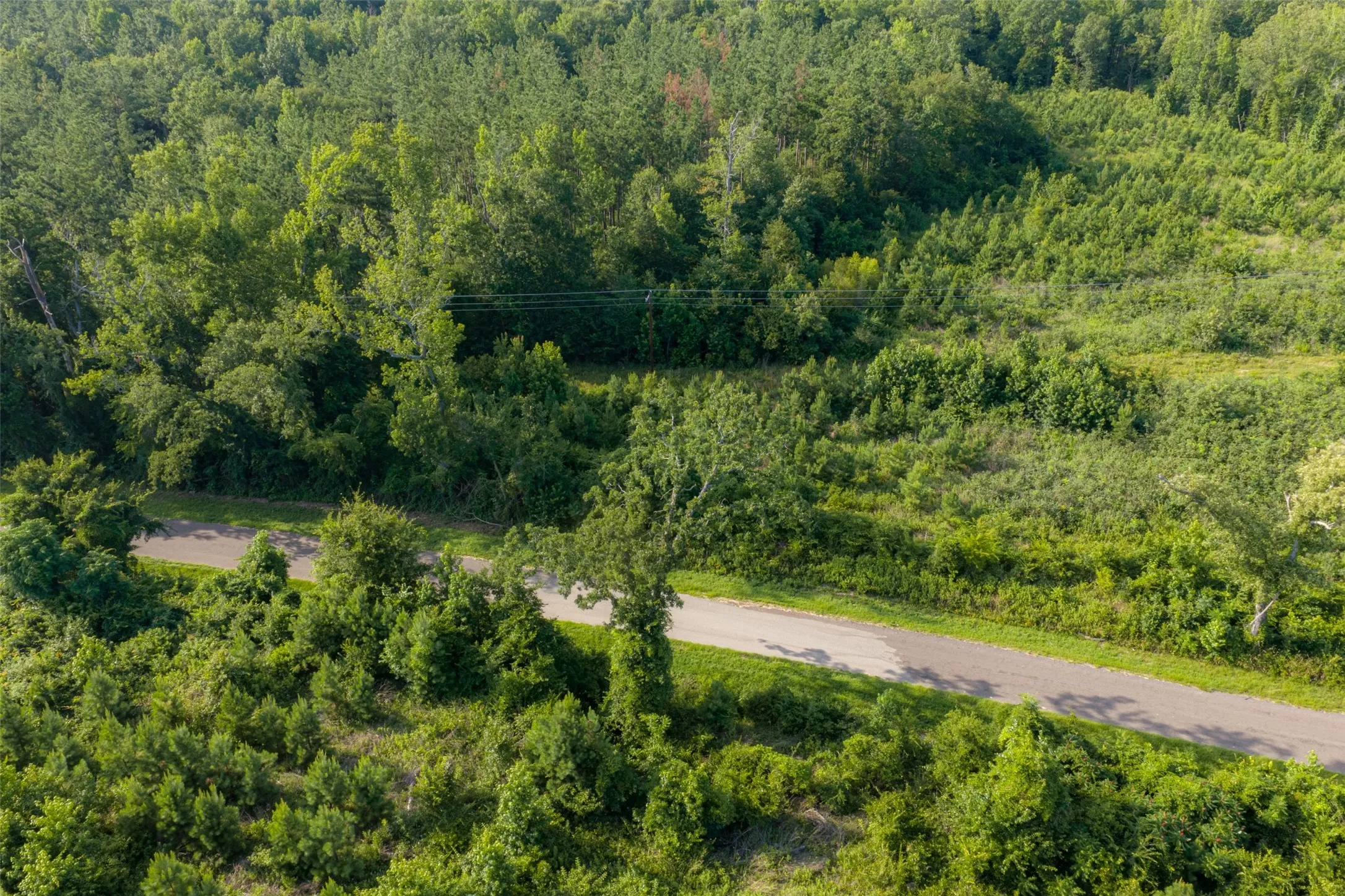 Unimproved Land For Sale in Rusk County , 00 County Road 436, Laneville, Texas 75667, 0, 0, Garage spaces, 0 Sqft, built in 0, mls#21326431, Real Estate Agent in Laneville, Homes For Sale in Rusk county, Homes For Sale in Laneville, Realtor in Laneville Texas, Real Estate Brokerage Independent Realty Texas, Luminita Cordes Realtor