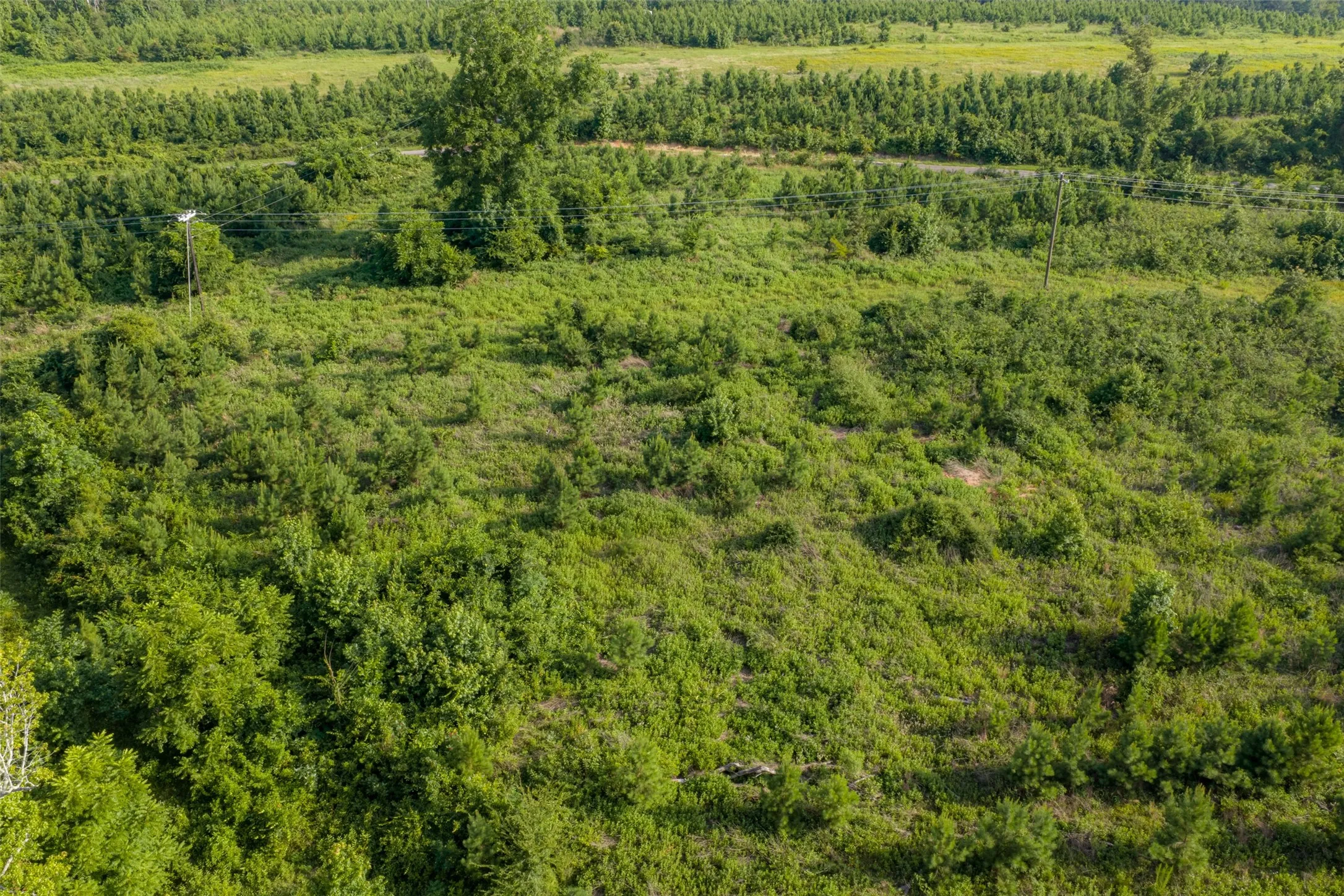 Unimproved Land For Sale in Rusk County , 00 County Road 436, Laneville, Texas 75667, 0, 0, Garage spaces, 0 Sqft, built in 0, mls#21326431, Real Estate Agent in Laneville, Homes For Sale in Rusk county, Homes For Sale in Laneville, Realtor in Laneville Texas, Real Estate Brokerage Independent Realty Texas, Luminita Cordes Realtor