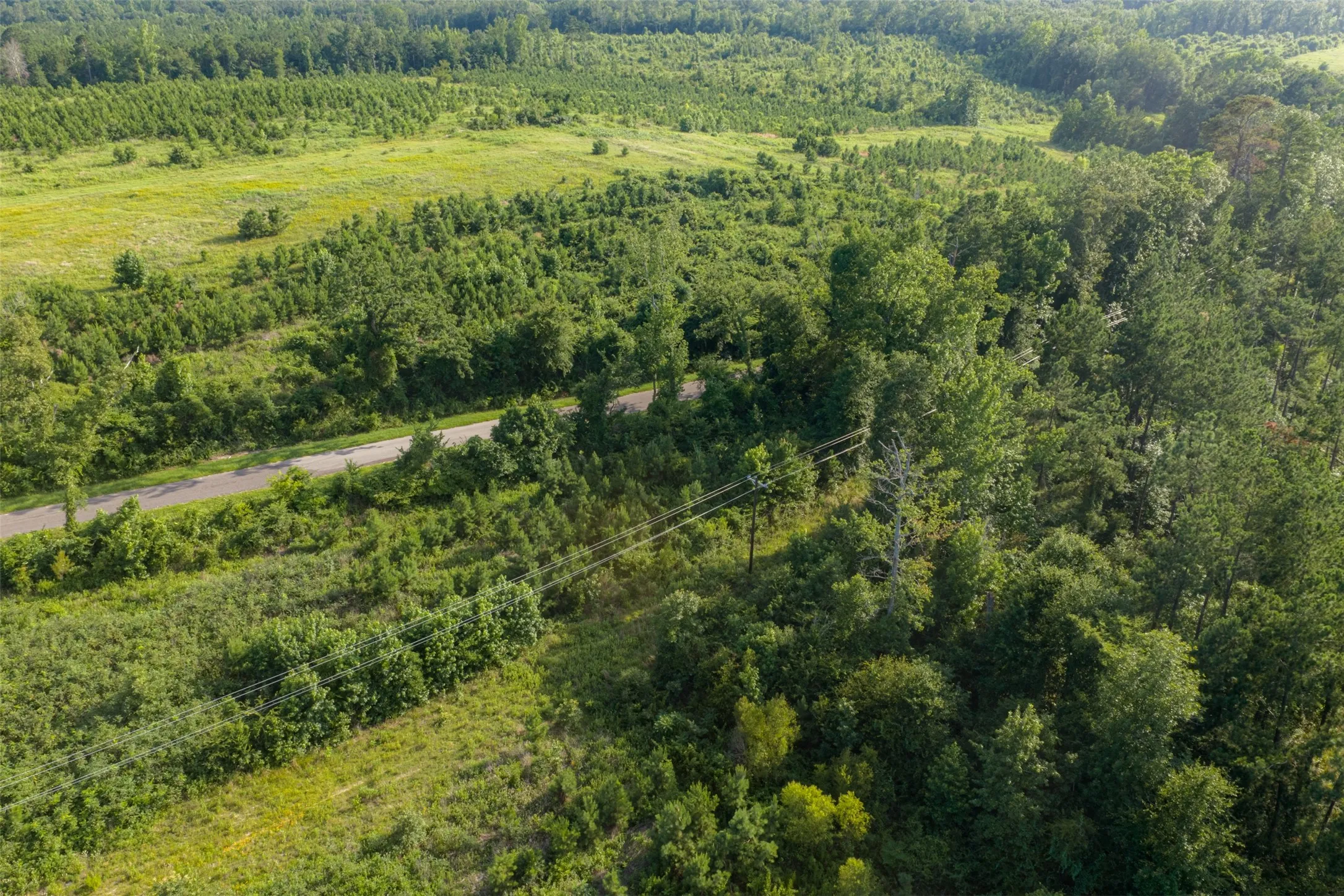 Unimproved Land For Sale in Rusk County , 00 County Road 436, Laneville, Texas 75667, 0, 0, Garage spaces, 0 Sqft, built in 0, mls#21326431, Real Estate Agent in Laneville, Homes For Sale in Rusk county, Homes For Sale in Laneville, Realtor in Laneville Texas, Real Estate Brokerage Independent Realty Texas, Luminita Cordes Realtor