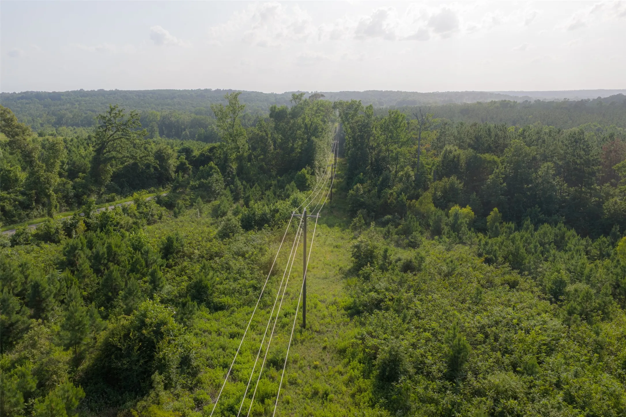 Unimproved Land For Sale in Rusk County , 00 County Road 436, Laneville, Texas 75667, 0, 0, Garage spaces, 0 Sqft, built in 0, mls#21326431, Real Estate Agent in Laneville, Homes For Sale in Rusk county, Homes For Sale in Laneville, Realtor in Laneville Texas, Real Estate Brokerage Independent Realty Texas, Luminita Cordes Realtor