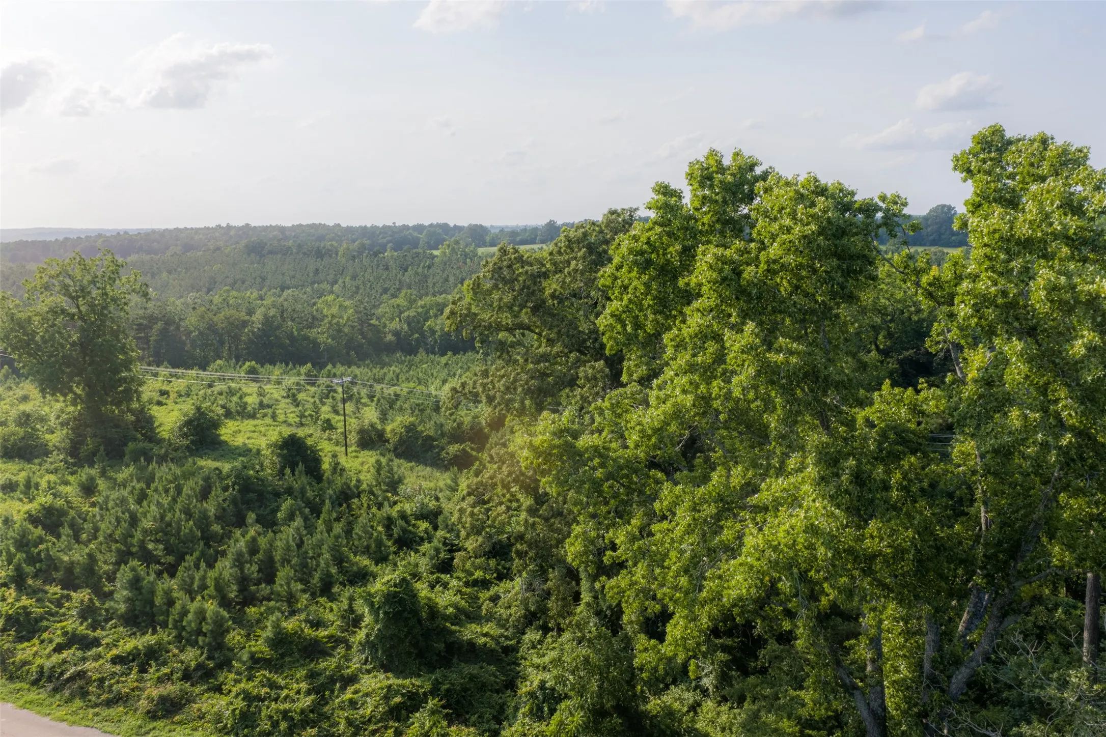 Unimproved Land For Sale in Rusk County , 00 County Road 436, Laneville, Texas 75667, 0, 0, Garage spaces, 0 Sqft, built in 0, mls#21326431, Real Estate Agent in Laneville, Homes For Sale in Rusk county, Homes For Sale in Laneville, Realtor in Laneville Texas, Real Estate Brokerage Independent Realty Texas, Luminita Cordes Realtor