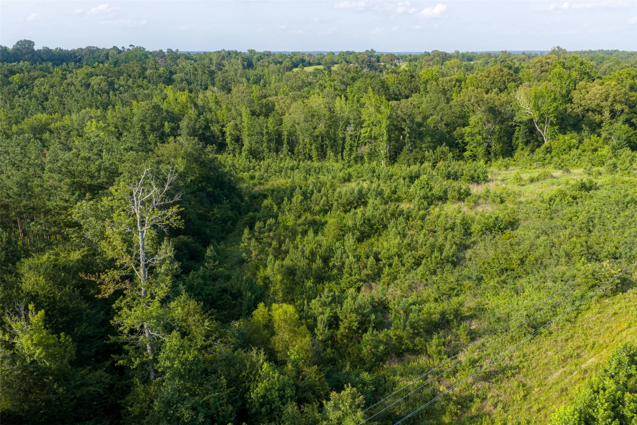 Unimproved Land For Sale in Rusk County , 00 County Road 436, Laneville, Texas 75667, 0, 0, Garage spaces, 0 Sqft, built in 0, mls#21326431, Real Estate Agent in Laneville, Homes For Sale in Rusk county, Homes For Sale in Laneville, Realtor in Laneville Texas, Real Estate Brokerage Independent Realty Texas, Luminita Cordes Realtor