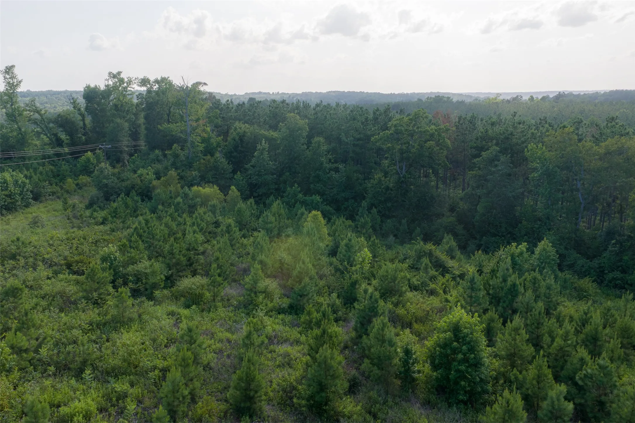 Unimproved Land For Sale in Rusk County , 00 County Road 436, Laneville, Texas 75667, 0, 0, Garage spaces, 0 Sqft, built in 0, mls#21326431, Real Estate Agent in Laneville, Homes For Sale in Rusk county, Homes For Sale in Laneville, Realtor in Laneville Texas, Real Estate Brokerage Independent Realty Texas, Luminita Cordes Realtor
