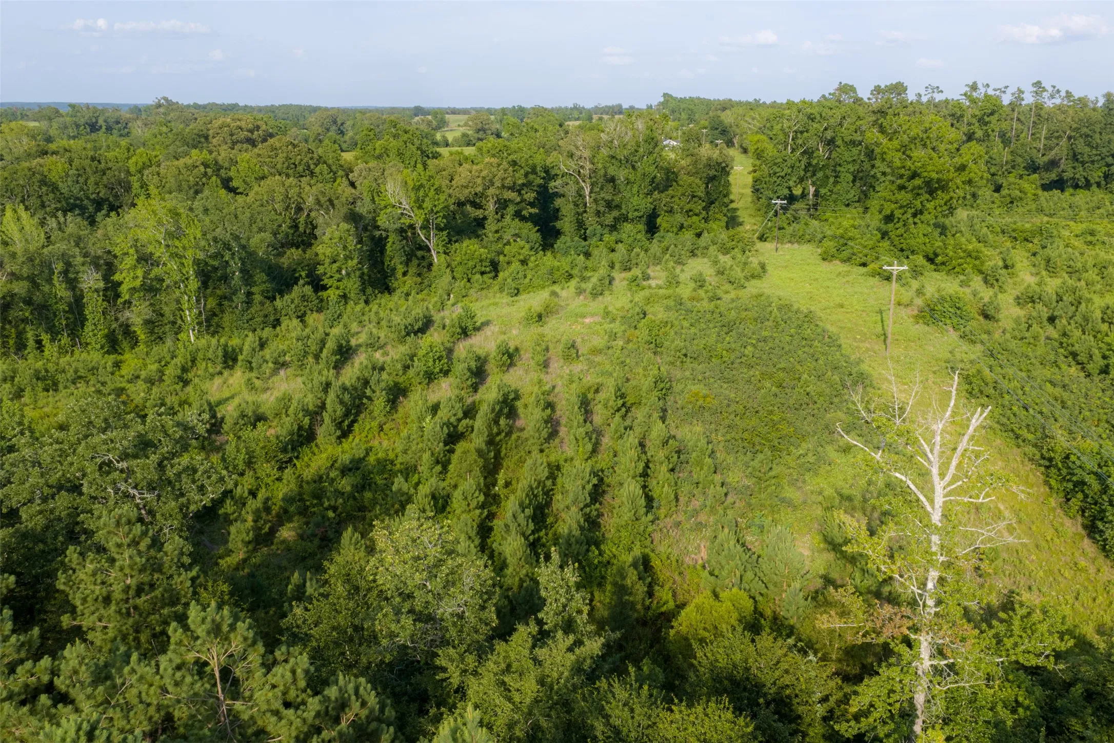 Unimproved Land For Sale in Rusk County , 00 County Road 436, Laneville, Texas 75667, 0, 0, Garage spaces, 0 Sqft, built in 0, mls#21326431, Real Estate Agent in Laneville, Homes For Sale in Rusk county, Homes For Sale in Laneville, Realtor in Laneville Texas, Real Estate Brokerage Independent Realty Texas, Luminita Cordes Realtor