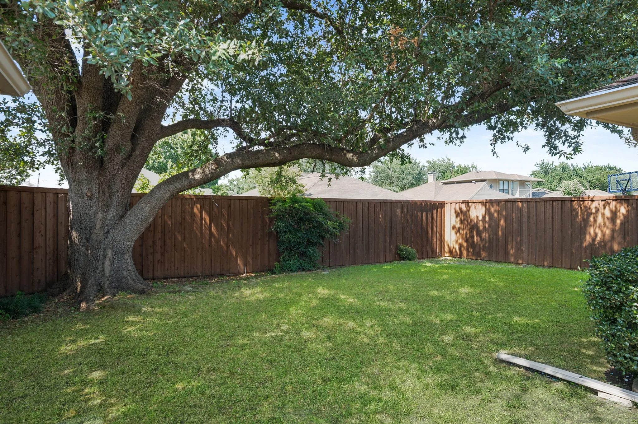 Spacious backyard with mature tree providing canopy, bordered by a new wooden privacy fence