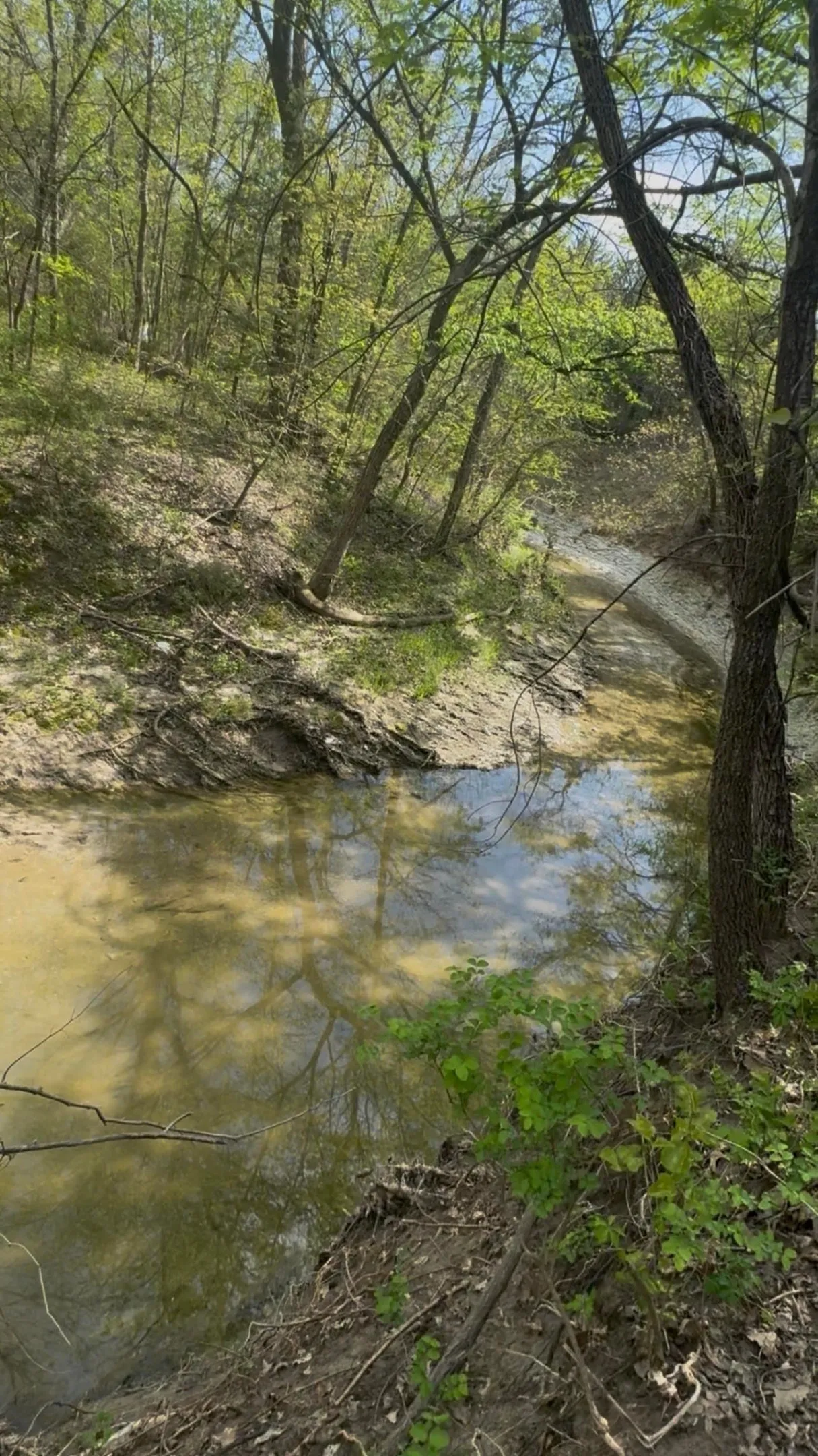 View of Whites Creek