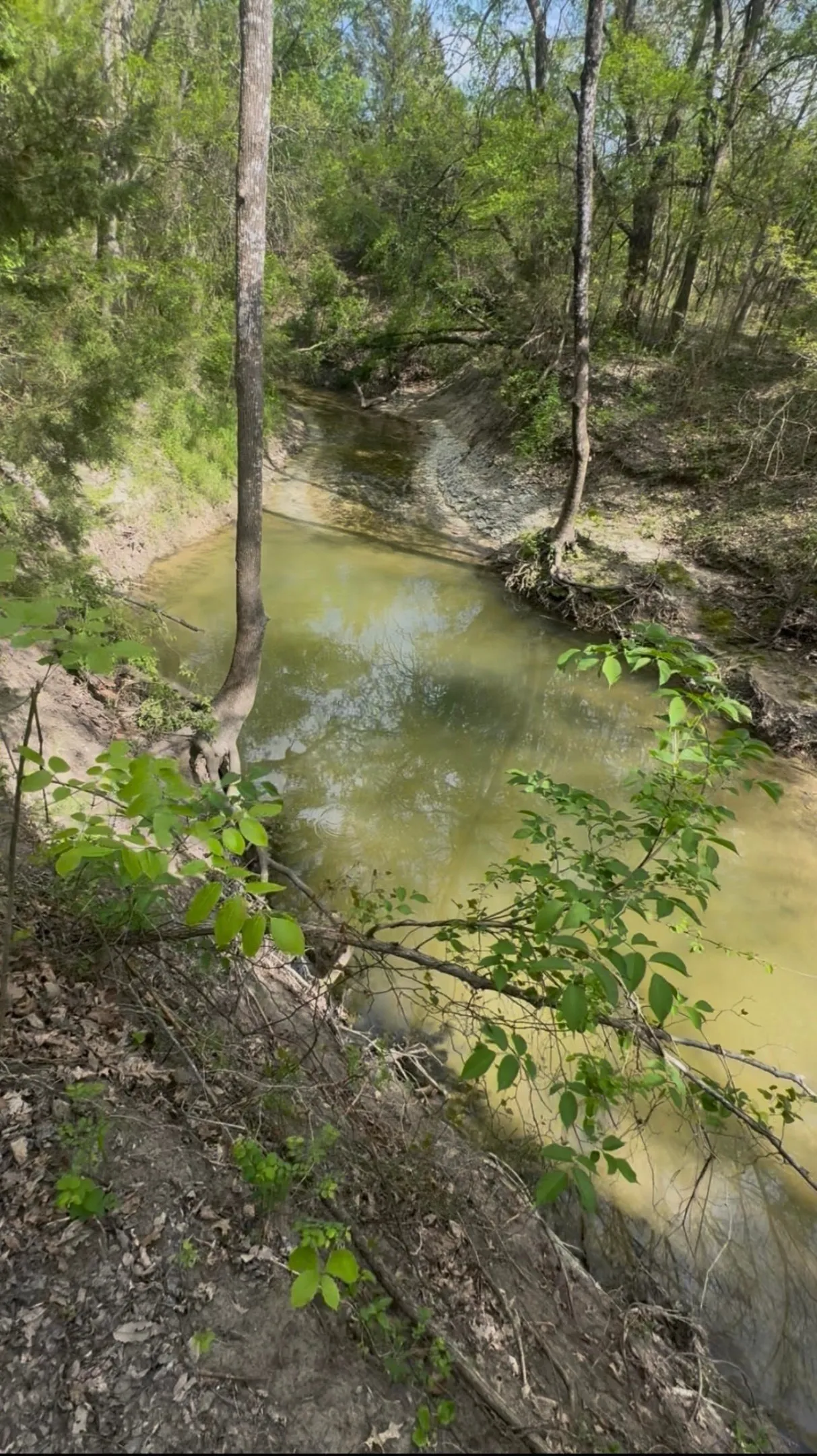 View of Whites Creek