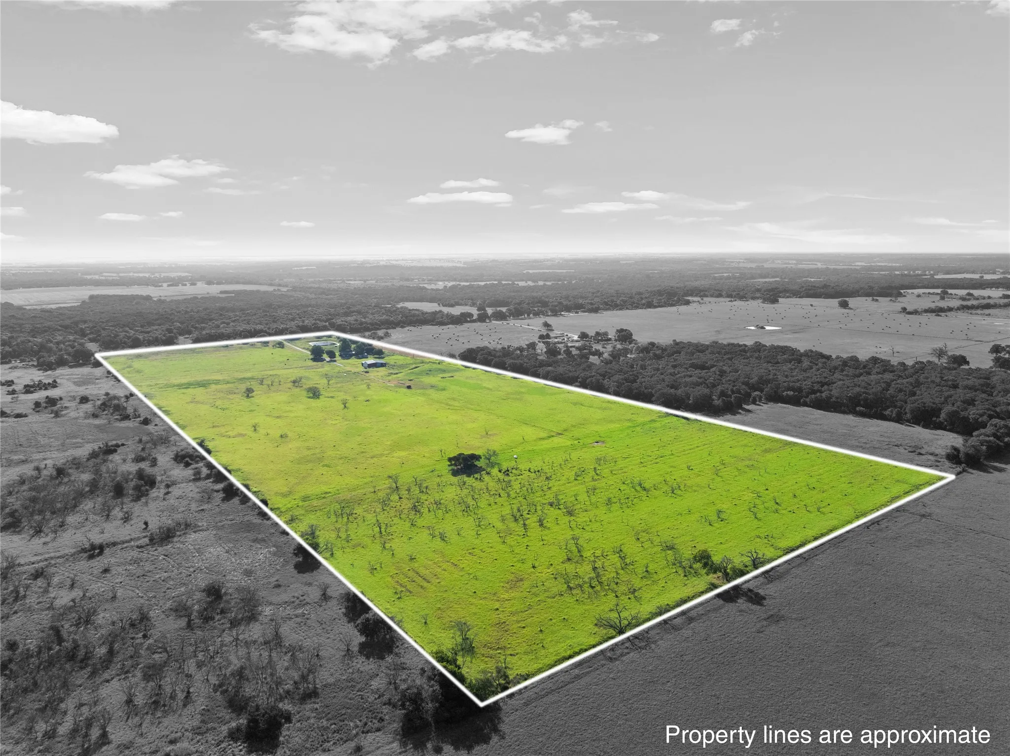 Expansive, undeveloped land parcel with a vibrant green field, surrounded by mature tree lines and distant natural landscapes
