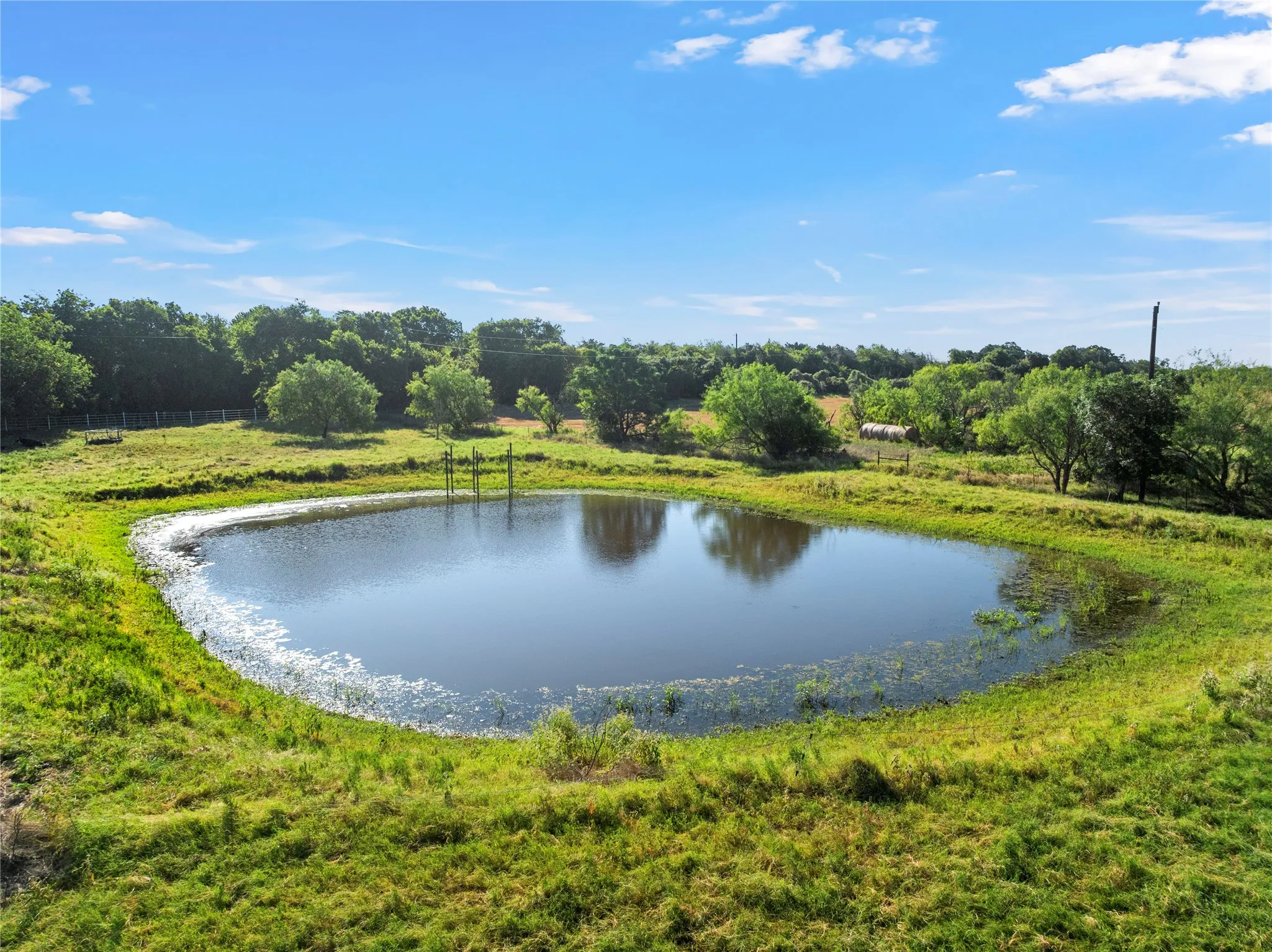 Natural pond with green banks, surrounded by mature trees and open grassy areas