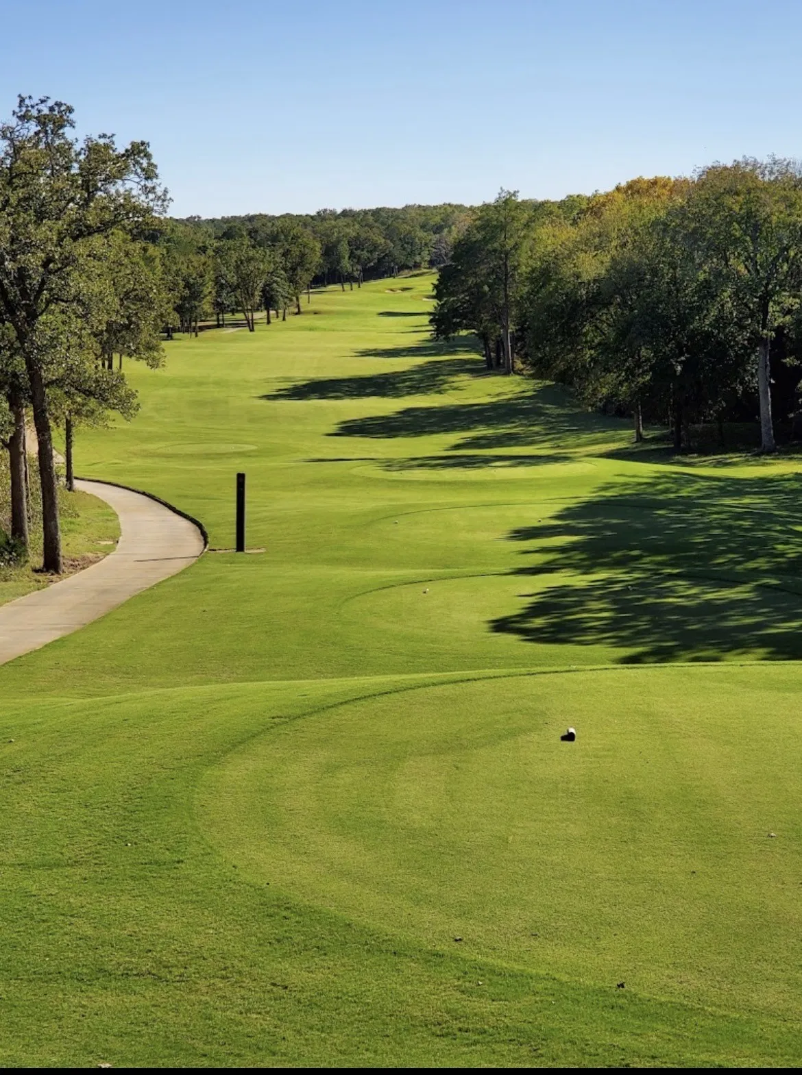 Unimproved Land For Sale in Grayson County , 14 Palmilla Court, Gordonville, Texas 76245, 0, 0, Garage spaces, 0 Sqft, built in 0, mls#21326637, Real Estate Agent in Gordonville, Homes For Sale in Grayson county, Homes For Sale in Gordonville, Realtor in Gordonville Texas, Real Estate Brokerage Independent Realty Texas, Luminita Cordes Realtor