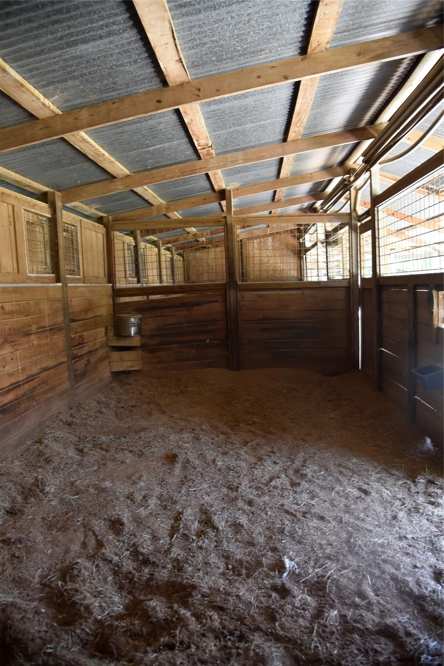 Interior stable stall featuring wood paneling, wood framing, a corrugated metal roof, and a hay-covered floor