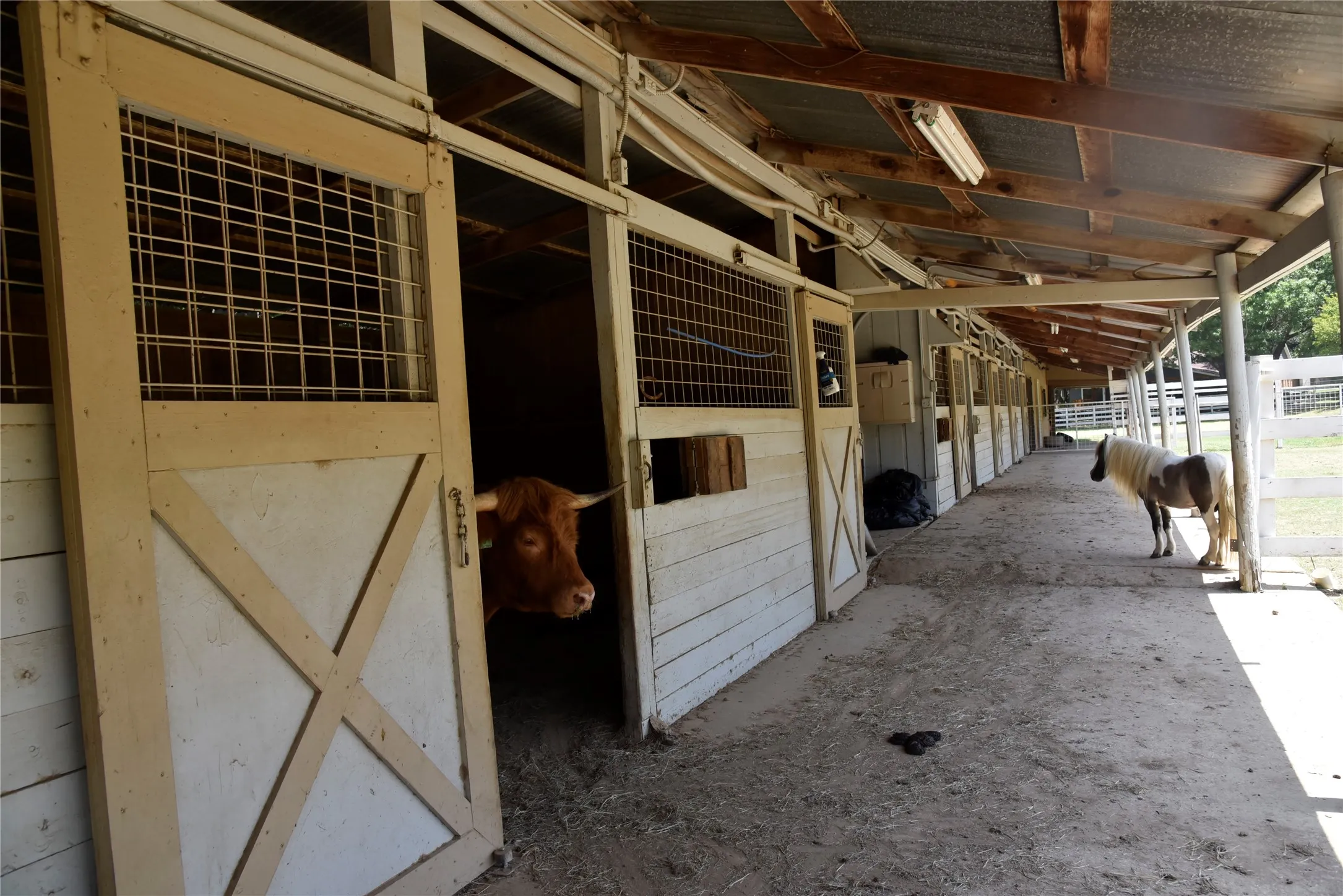 Barn with multiple stalls featuring sliding doors, overhead lighting, and an extended covered walkway