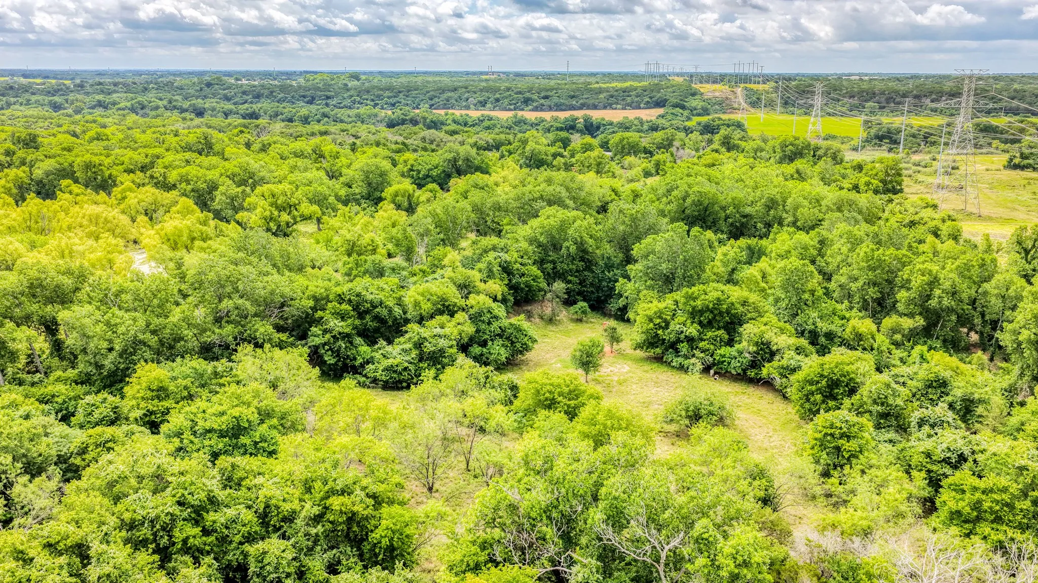 Unimproved Land For Sale in Bosque County , 186 County Rd 3650, Clifton, Texas 76634, 0, 0, Garage spaces, 0 Sqft, built in 0, mls#21317883, Real Estate Agent in Clifton, Homes For Sale in Bosque county, Homes For Sale in Clifton, Realtor in Clifton Texas, Real Estate Brokerage Independent Realty Texas, Luminita Cordes Realtor