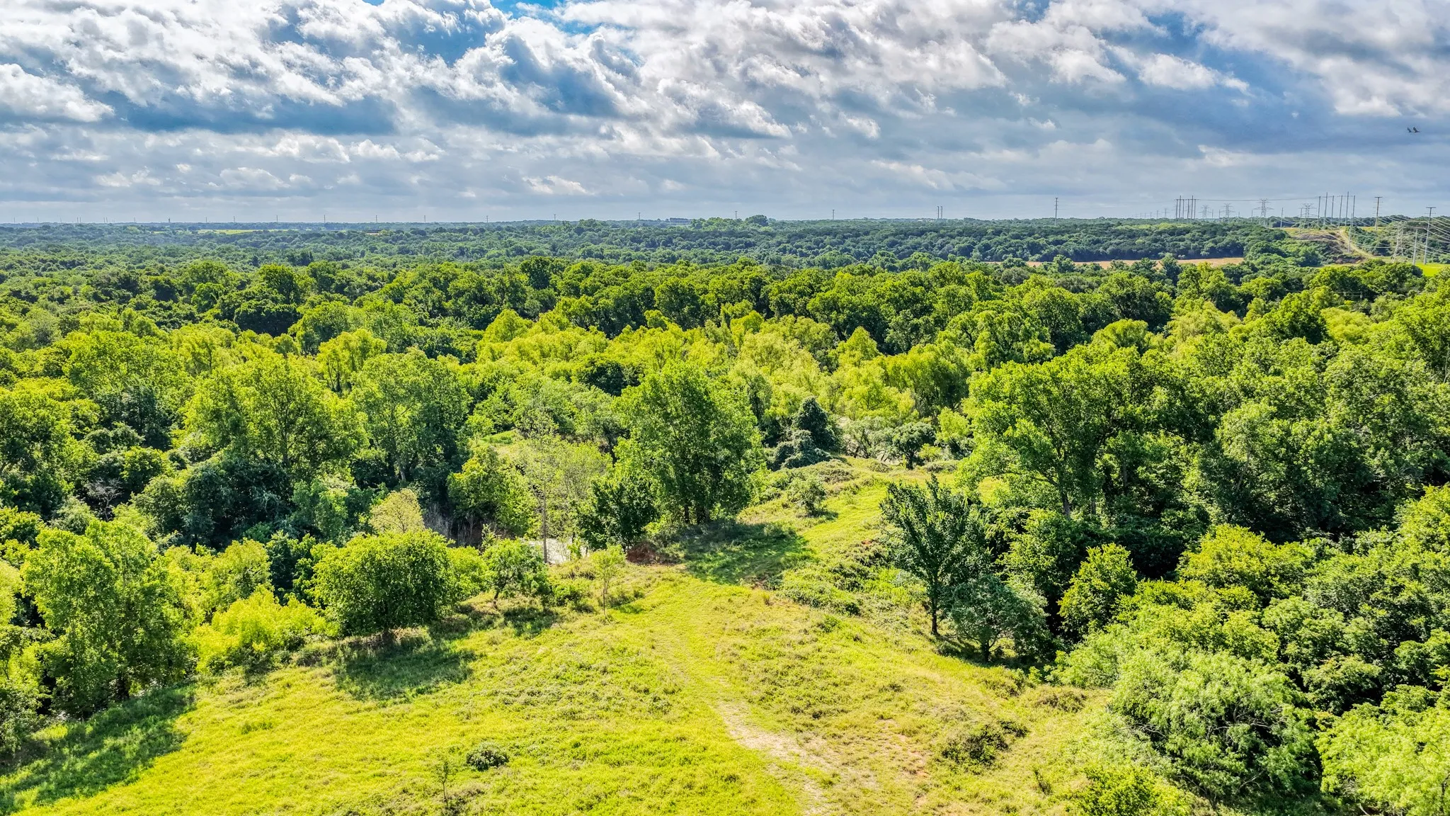 Unimproved Land For Sale in Bosque County , 186 County Rd 3650, Clifton, Texas 76634, 0, 0, Garage spaces, 0 Sqft, built in 0, mls#21317883, Real Estate Agent in Clifton, Homes For Sale in Bosque county, Homes For Sale in Clifton, Realtor in Clifton Texas, Real Estate Brokerage Independent Realty Texas, Luminita Cordes Realtor