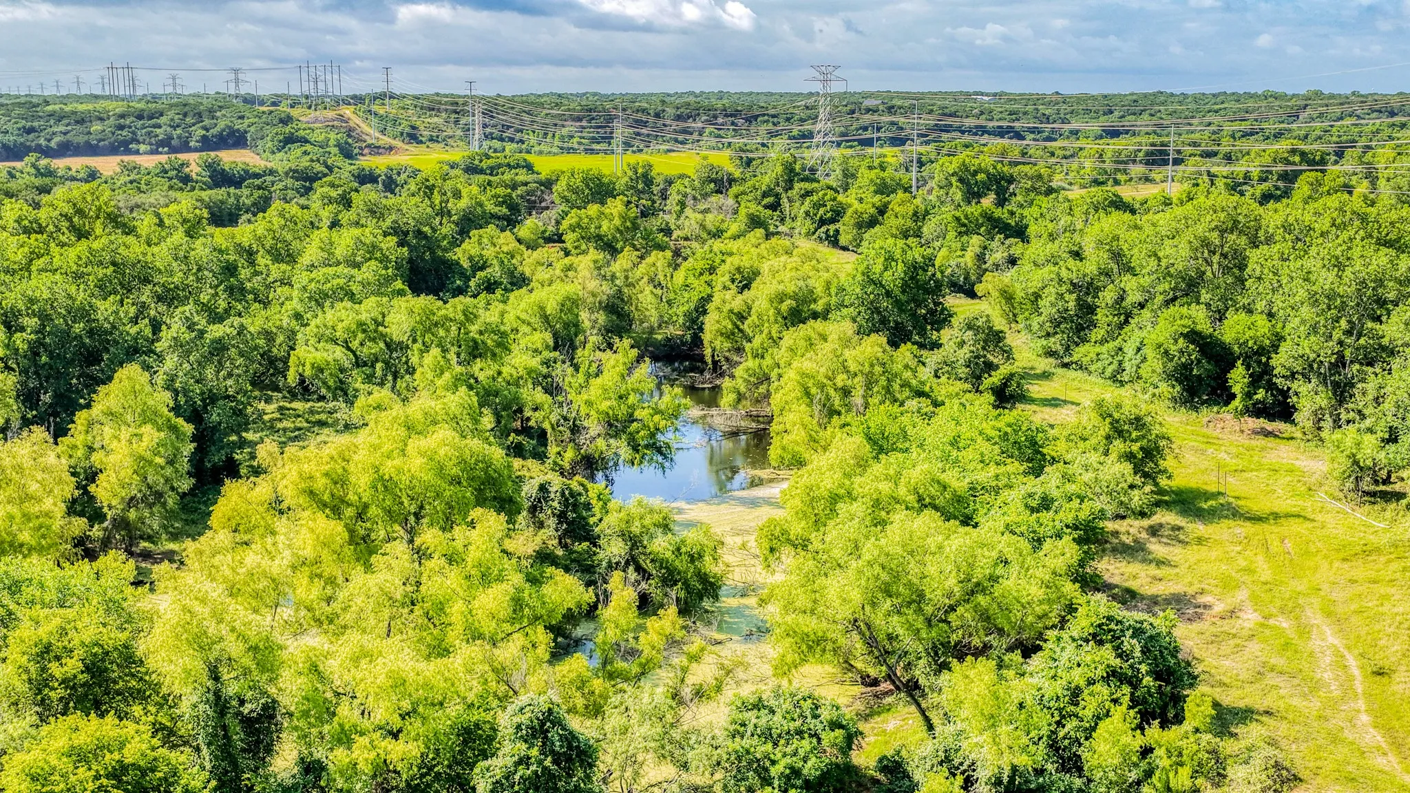 Unimproved Land For Sale in Bosque County , 186 County Rd 3650, Clifton, Texas 76634, 0, 0, Garage spaces, 0 Sqft, built in 0, mls#21317883, Real Estate Agent in Clifton, Homes For Sale in Bosque county, Homes For Sale in Clifton, Realtor in Clifton Texas, Real Estate Brokerage Independent Realty Texas, Luminita Cordes Realtor