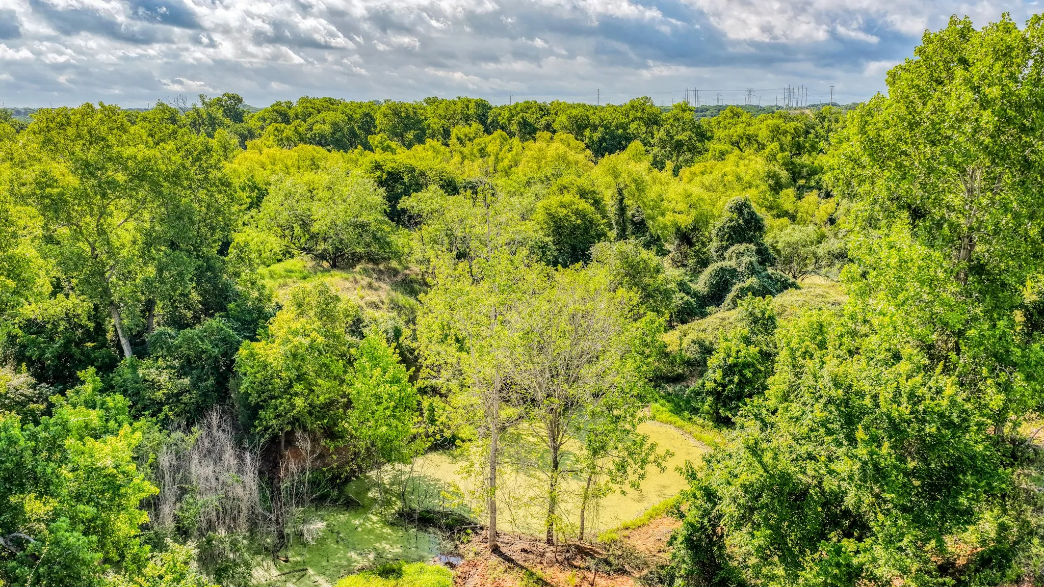 Unimproved Land For Sale in Bosque County , 186 County Rd 3650, Clifton, Texas 76634, 0, 0, Garage spaces, 0 Sqft, built in 0, mls#21317883, Real Estate Agent in Clifton, Homes For Sale in Bosque county, Homes For Sale in Clifton, Realtor in Clifton Texas, Real Estate Brokerage Independent Realty Texas, Luminita Cordes Realtor