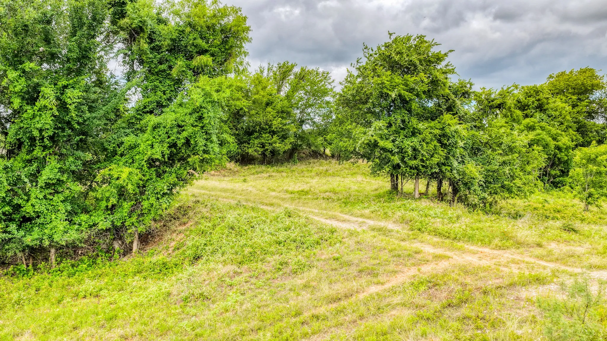 Unimproved Land For Sale in Bosque County , 186 County Rd 3650, Clifton, Texas 76634, 0, 0, Garage spaces, 0 Sqft, built in 0, mls#21317883, Real Estate Agent in Clifton, Homes For Sale in Bosque county, Homes For Sale in Clifton, Realtor in Clifton Texas, Real Estate Brokerage Independent Realty Texas, Luminita Cordes Realtor