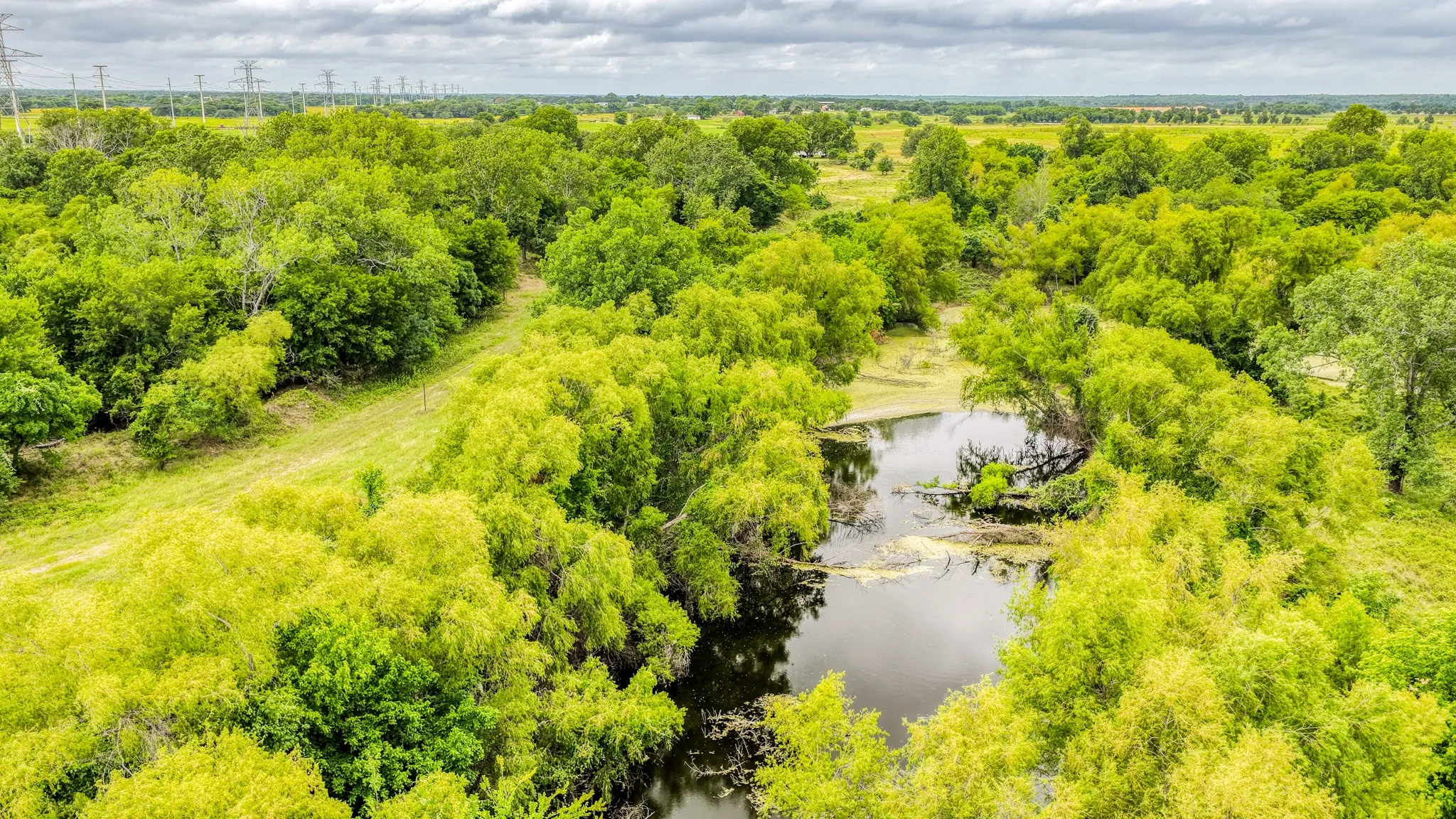 Unimproved Land For Sale in Bosque County , 186 County Rd 3650, Clifton, Texas 76634, 0, 0, Garage spaces, 0 Sqft, built in 0, mls#21317883, Real Estate Agent in Clifton, Homes For Sale in Bosque county, Homes For Sale in Clifton, Realtor in Clifton Texas, Real Estate Brokerage Independent Realty Texas, Luminita Cordes Realtor