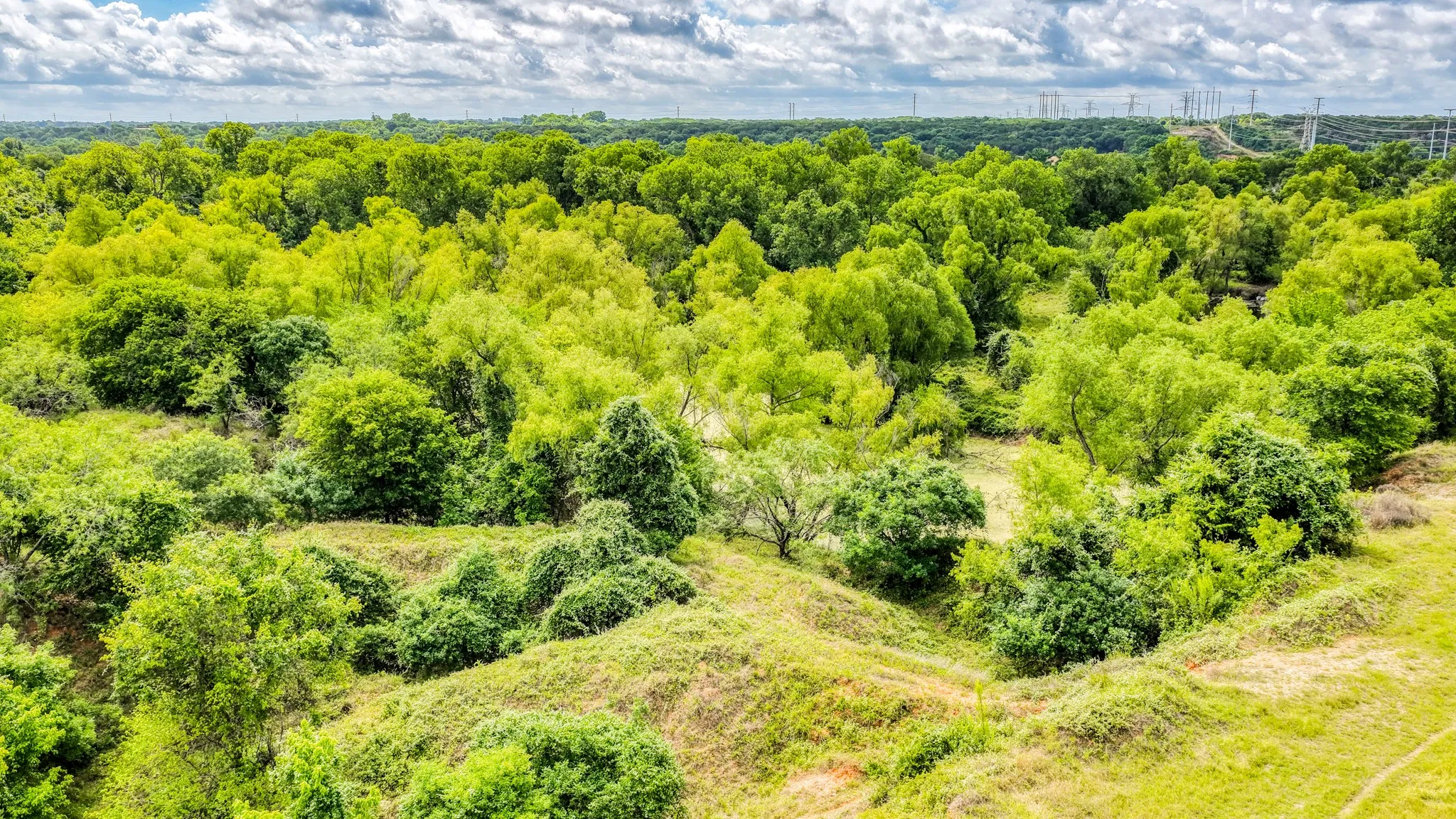 Unimproved Land For Sale in Bosque County , 186 County Rd 3650, Clifton, Texas 76634, 0, 0, Garage spaces, 0 Sqft, built in 0, mls#21317883, Real Estate Agent in Clifton, Homes For Sale in Bosque county, Homes For Sale in Clifton, Realtor in Clifton Texas, Real Estate Brokerage Independent Realty Texas, Luminita Cordes Realtor