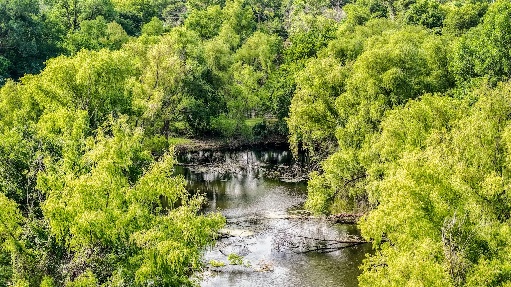 Unimproved Land For Sale in Bosque County , 186 County Rd 3650, Clifton, Texas 76634, 0, 0, Garage spaces, 0 Sqft, built in 0, mls#21317883, Real Estate Agent in Clifton, Homes For Sale in Bosque county, Homes For Sale in Clifton, Realtor in Clifton Texas, Real Estate Brokerage Independent Realty Texas, Luminita Cordes Realtor