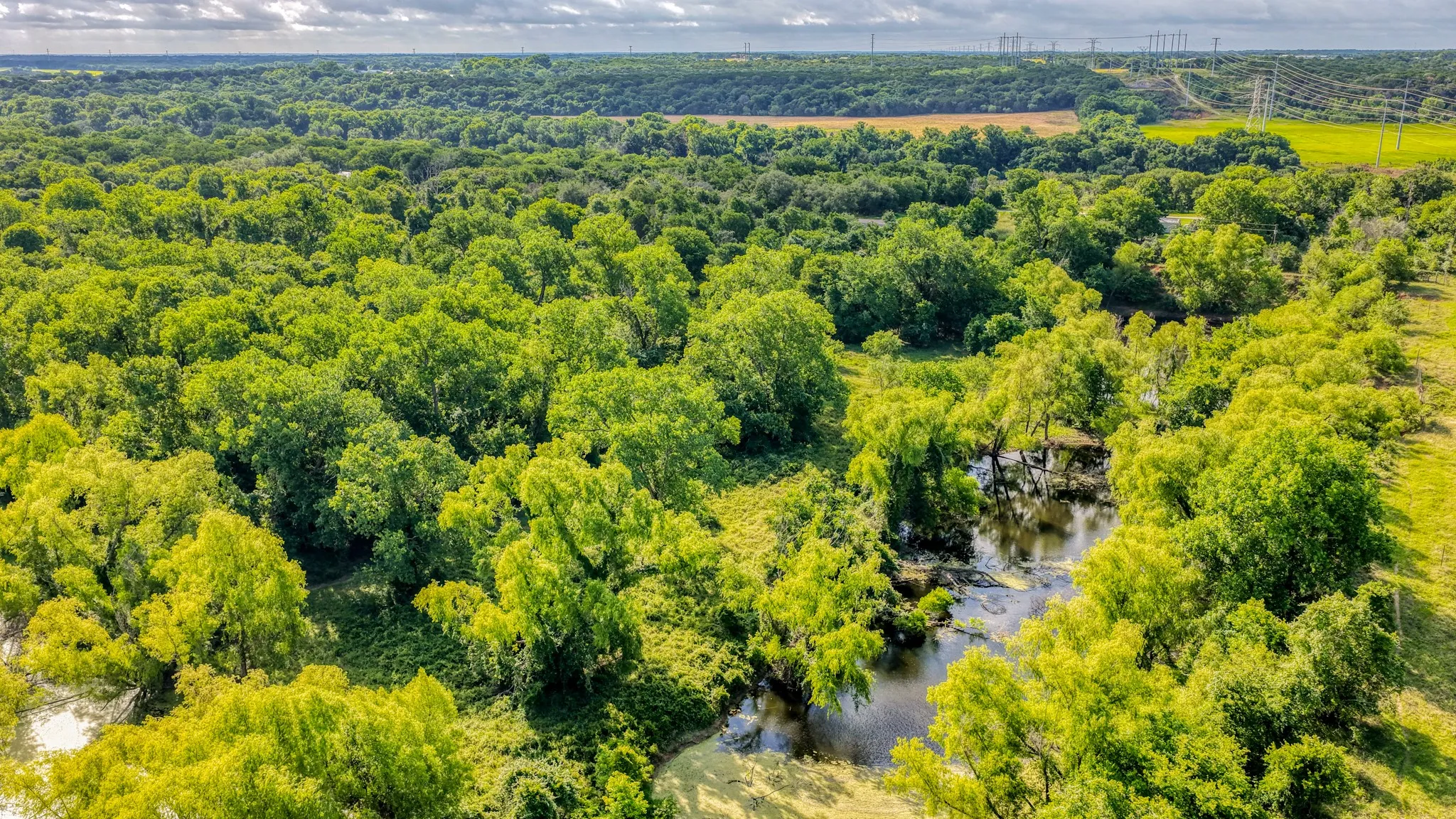 Unimproved Land For Sale in Bosque County , 186 County Rd 3650, Clifton, Texas 76634, 0, 0, Garage spaces, 0 Sqft, built in 0, mls#21317883, Real Estate Agent in Clifton, Homes For Sale in Bosque county, Homes For Sale in Clifton, Realtor in Clifton Texas, Real Estate Brokerage Independent Realty Texas, Luminita Cordes Realtor