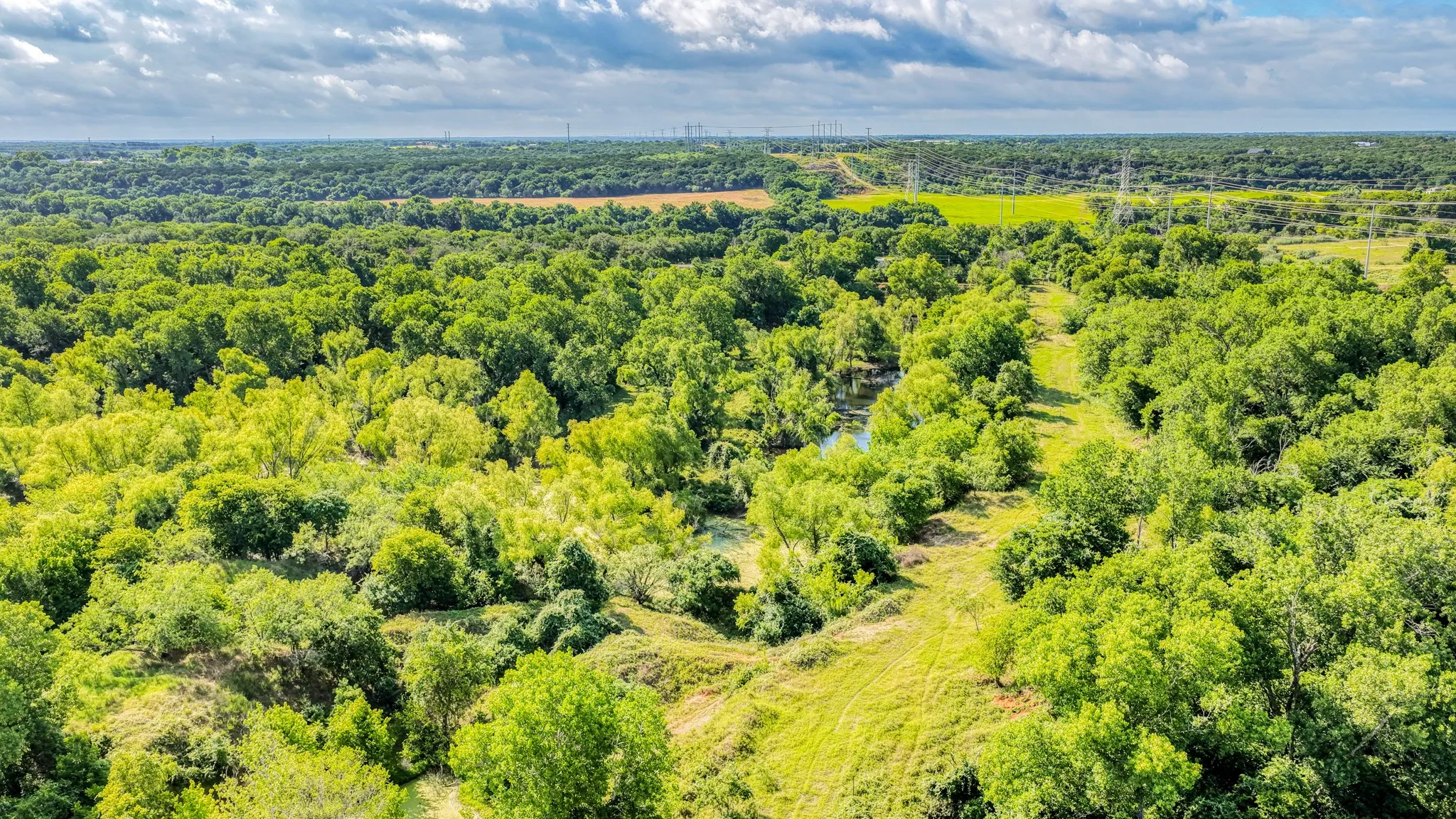 Unimproved Land For Sale in Bosque County , 186 County Rd 3650, Clifton, Texas 76634, 0, 0, Garage spaces, 0 Sqft, built in 0, mls#21317883, Real Estate Agent in Clifton, Homes For Sale in Bosque county, Homes For Sale in Clifton, Realtor in Clifton Texas, Real Estate Brokerage Independent Realty Texas, Luminita Cordes Realtor
