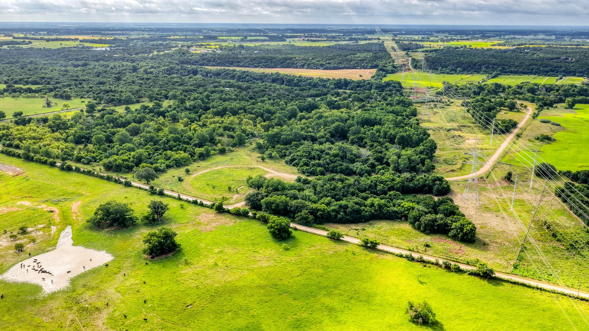 Unimproved Land For Sale in Bosque County , 186 County Rd 3650, Clifton, Texas 76634, 0, 0, Garage spaces, 0 Sqft, built in 0, mls#21317883, Real Estate Agent in Clifton, Homes For Sale in Bosque county, Homes For Sale in Clifton, Realtor in Clifton Texas, Real Estate Brokerage Independent Realty Texas, Luminita Cordes Realtor