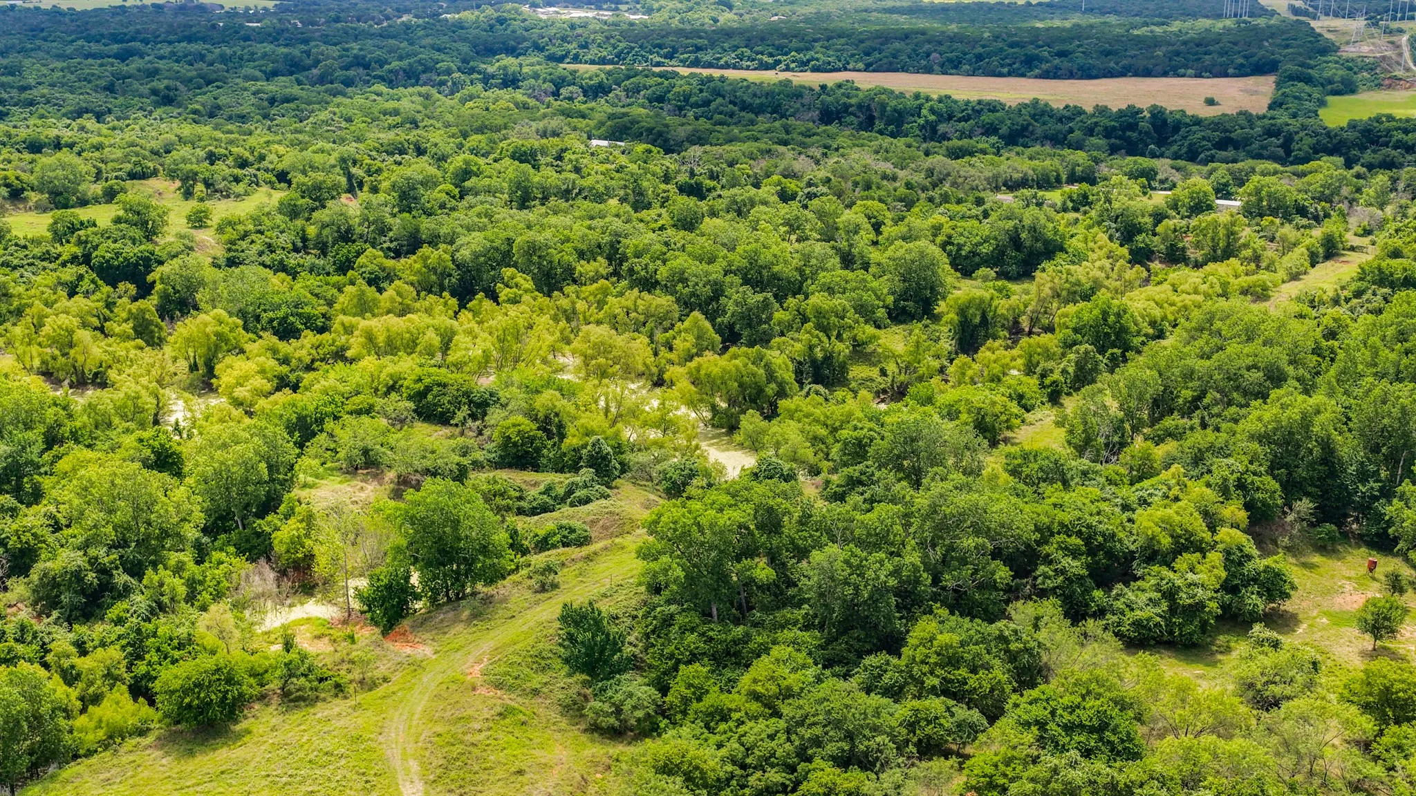 Unimproved Land For Sale in Bosque County , 186 County Rd 3650, Clifton, Texas 76634, 0, 0, Garage spaces, 0 Sqft, built in 0, mls#21317883, Real Estate Agent in Clifton, Homes For Sale in Bosque county, Homes For Sale in Clifton, Realtor in Clifton Texas, Real Estate Brokerage Independent Realty Texas, Luminita Cordes Realtor