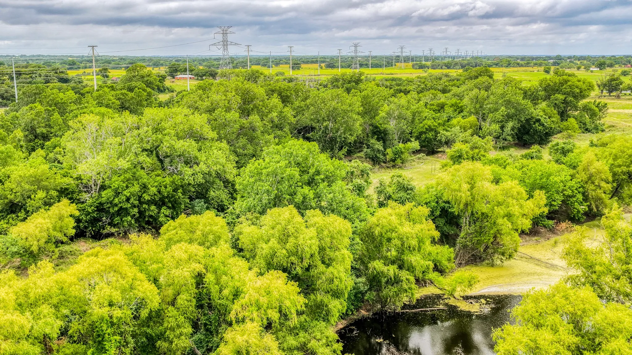 Unimproved Land For Sale in Bosque County , 186 County Rd 3650, Clifton, Texas 76634, 0, 0, Garage spaces, 0 Sqft, built in 0, mls#21317883, Real Estate Agent in Clifton, Homes For Sale in Bosque county, Homes For Sale in Clifton, Realtor in Clifton Texas, Real Estate Brokerage Independent Realty Texas, Luminita Cordes Realtor
