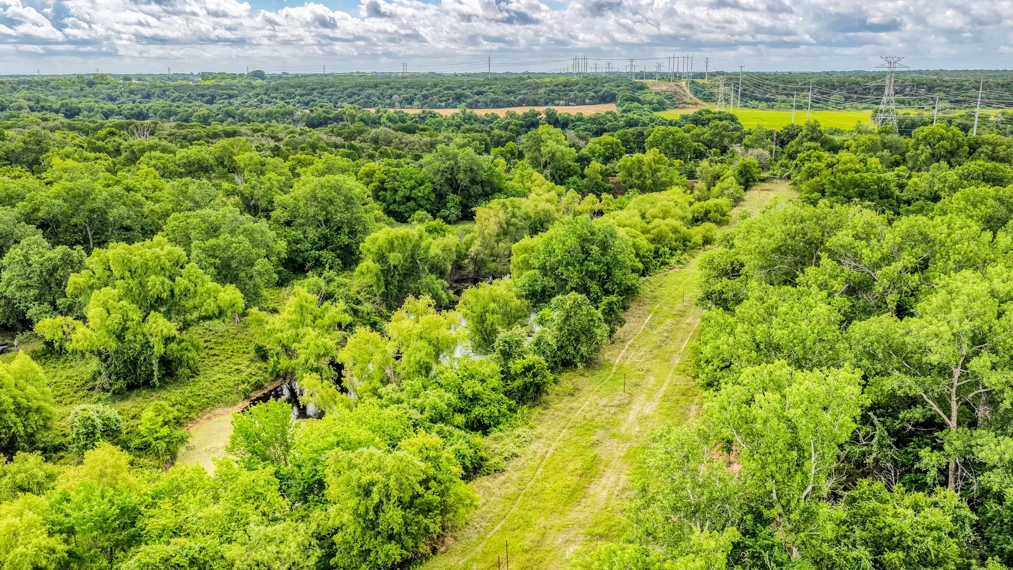 Unimproved Land For Sale in Bosque County , 186 County Rd 3650, Clifton, Texas 76634, 0, 0, Garage spaces, 0 Sqft, built in 0, mls#21317883, Real Estate Agent in Clifton, Homes For Sale in Bosque county, Homes For Sale in Clifton, Realtor in Clifton Texas, Real Estate Brokerage Independent Realty Texas, Luminita Cordes Realtor