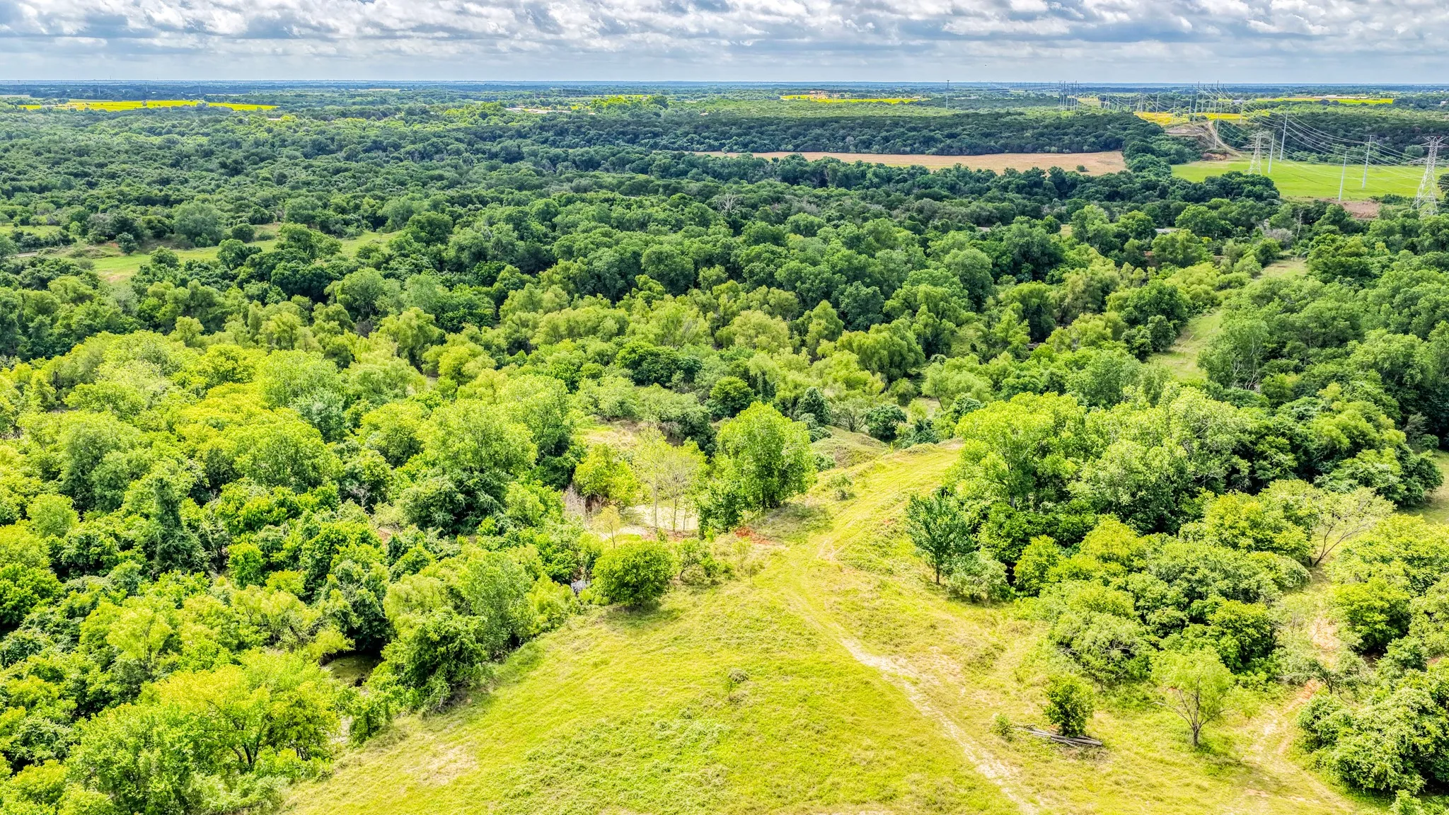 Unimproved Land For Sale in Bosque County , 186 County Rd 3650, Clifton, Texas 76634, 0, 0, Garage spaces, 0 Sqft, built in 0, mls#21317883, Real Estate Agent in Clifton, Homes For Sale in Bosque county, Homes For Sale in Clifton, Realtor in Clifton Texas, Real Estate Brokerage Independent Realty Texas, Luminita Cordes Realtor