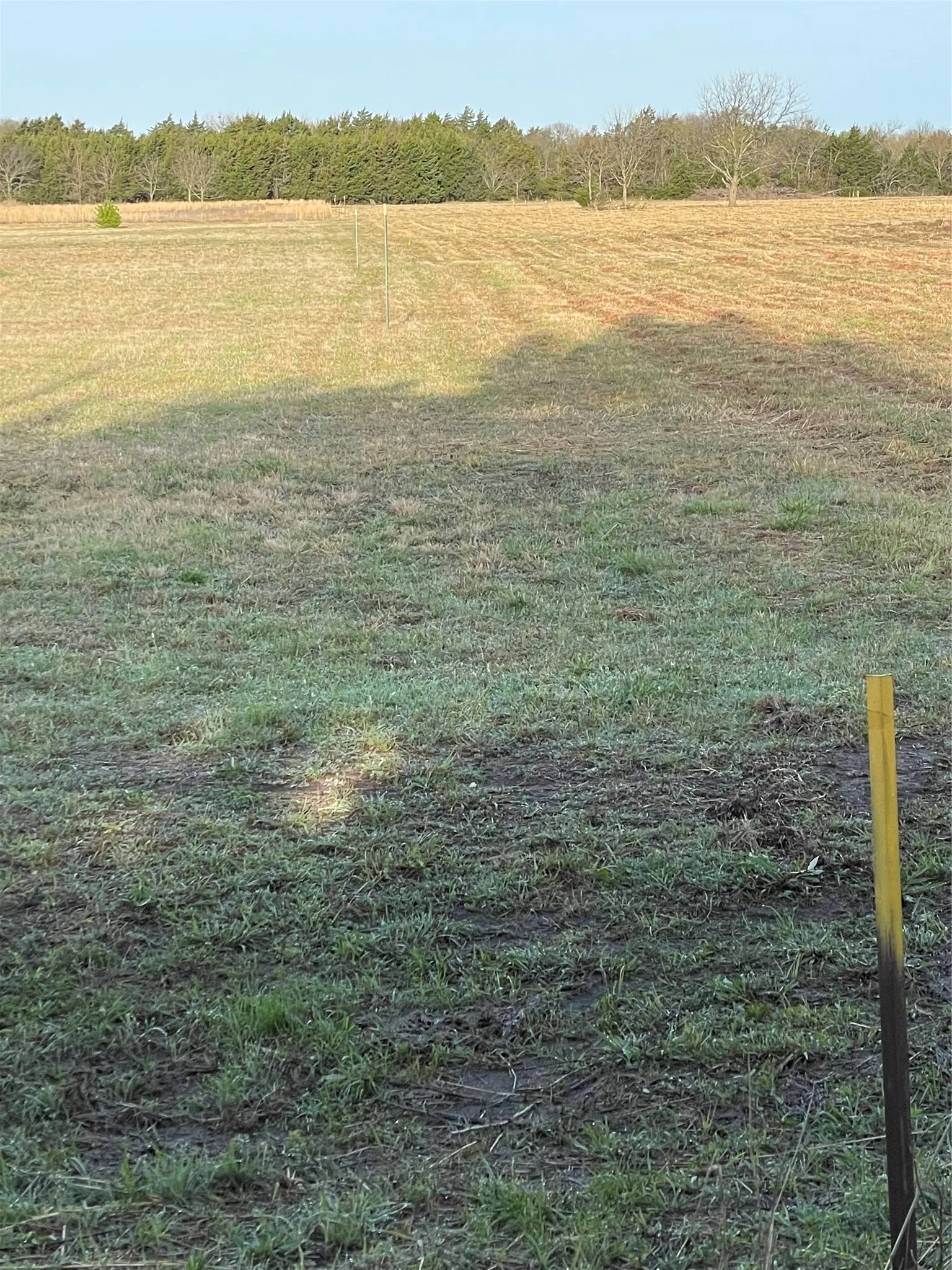 Unimproved Land For Sale in Grayson County , TBD Freeman Road, Denison, Texas 75021, 0, 0, Garage spaces, 0 Sqft, built in 0, Price $500,000, mls#21318750, Real Estate Agent in Denison, Homes For Sale in Grayson county, Homes For Sale in Denison, Realtor in Denison Texas, Real Estate Brokerage Independent Realty Texas, Luminita Cordes Realtor