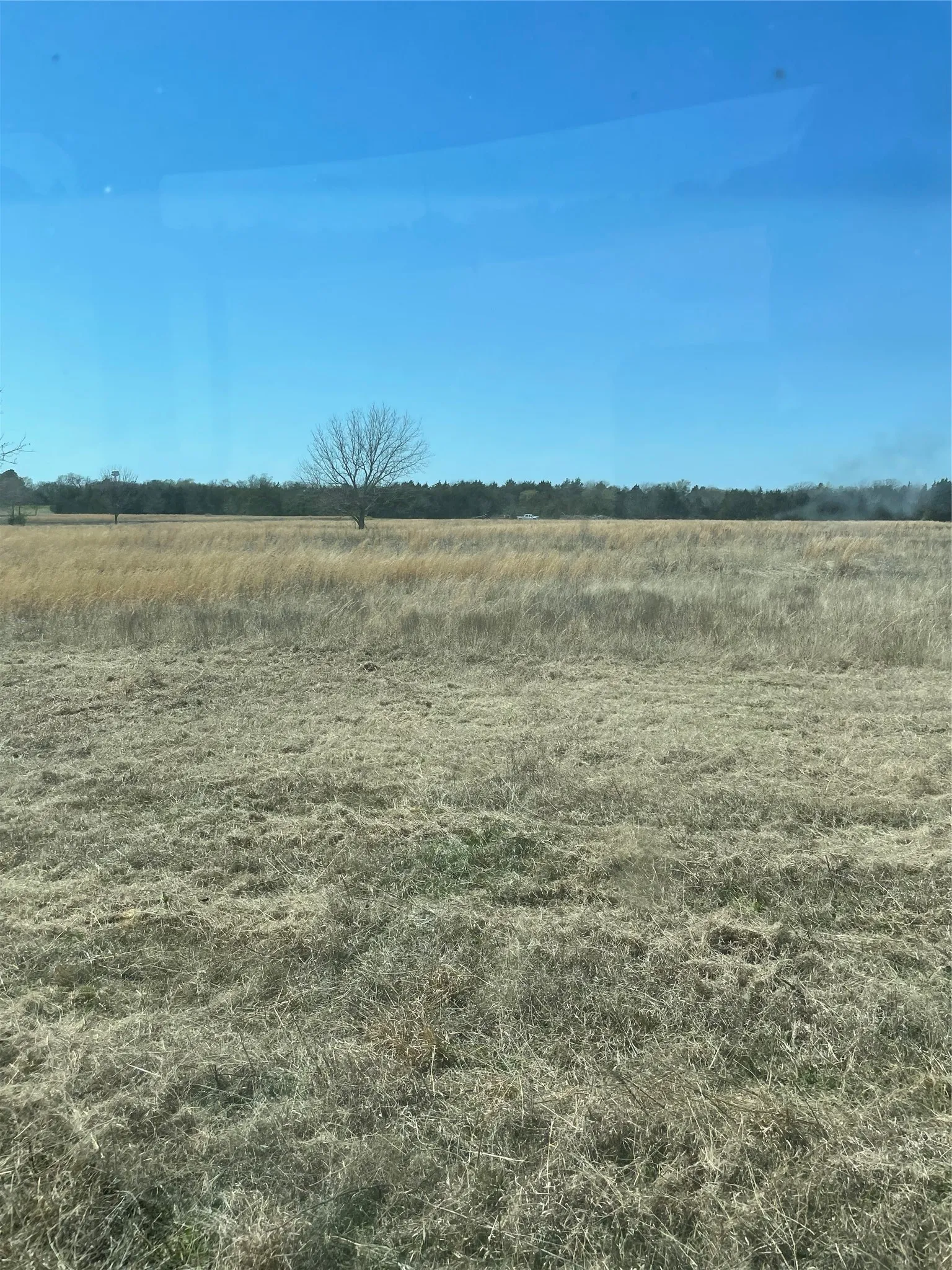 Unimproved Land For Sale in Grayson County , TBD Freeman Road, Denison, Texas 75021, 0, 0, Garage spaces, 0 Sqft, built in 0, Price $500,000, mls#21318750, Real Estate Agent in Denison, Homes For Sale in Grayson county, Homes For Sale in Denison, Realtor in Denison Texas, Real Estate Brokerage Independent Realty Texas, Luminita Cordes Realtor