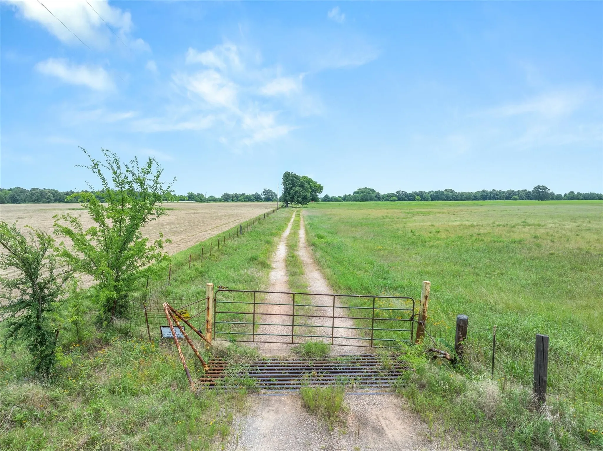Expansive agricultural land featuring a dirt road and a metal gate