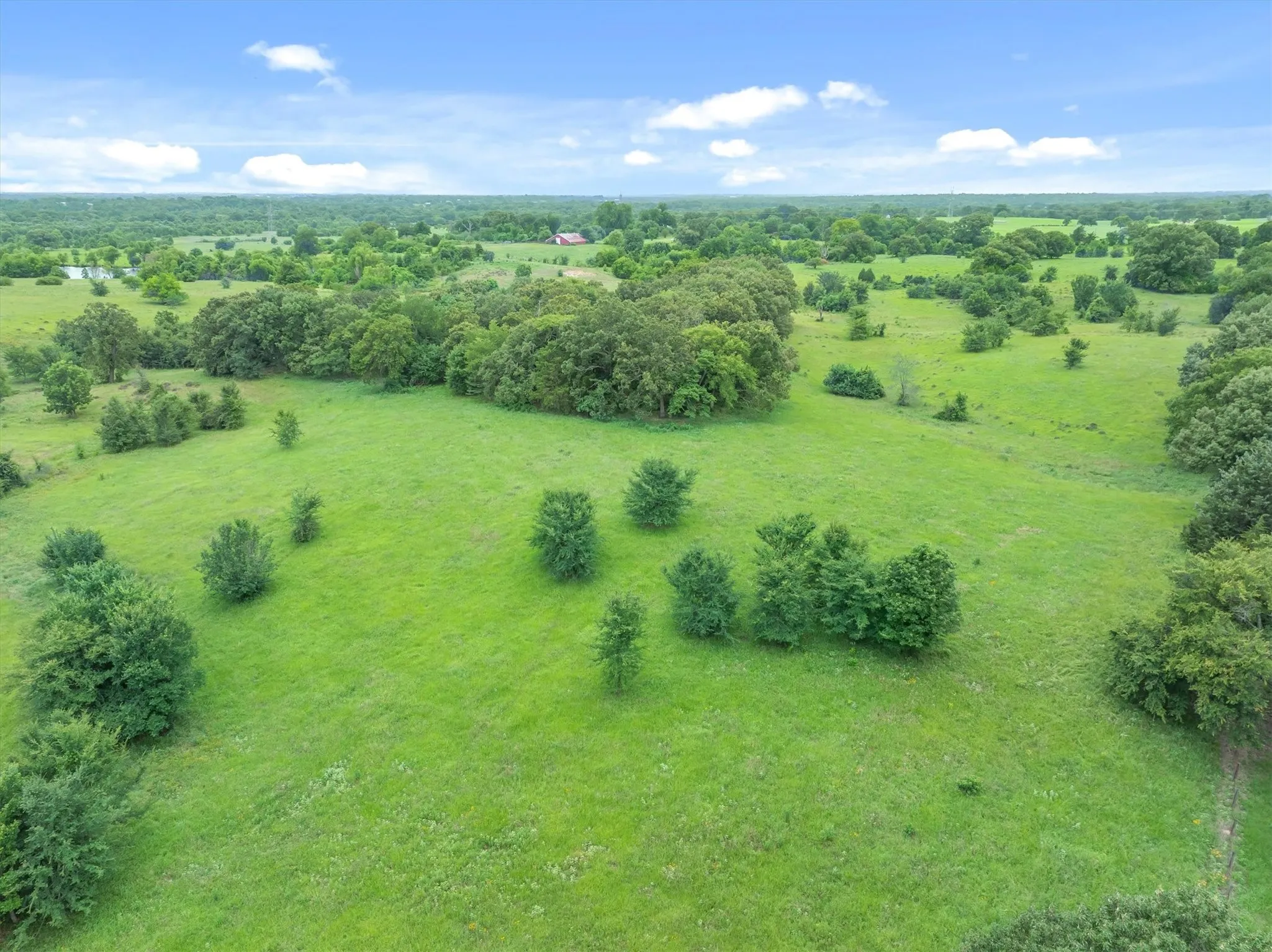Expansive green landscape featuring scattered trees and distant foliage