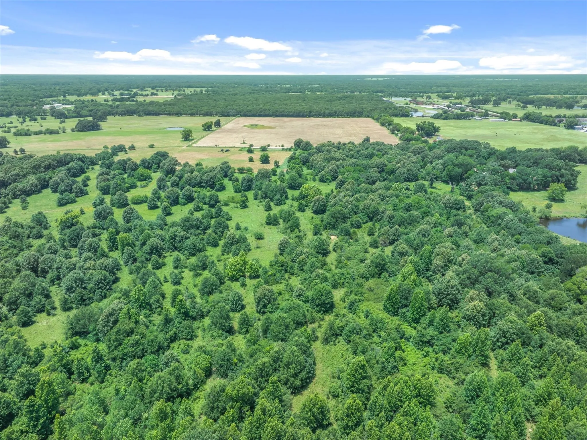 Expansive land parcel featuring diverse tree coverage, open grassy areas, a natural pond, and surrounding cleared fields