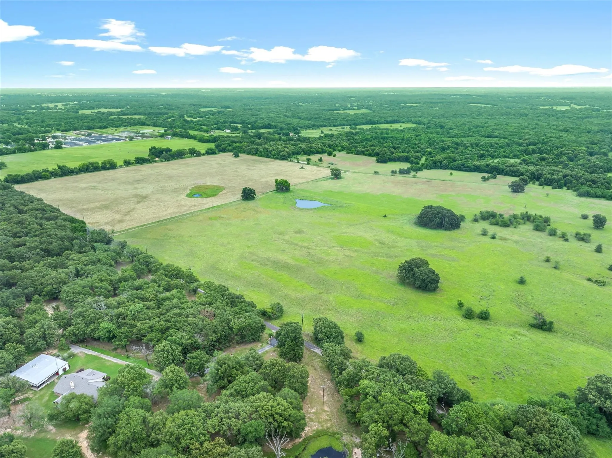 Expansive rural acreage featuring green pastures, mature trees, and multiple ponds