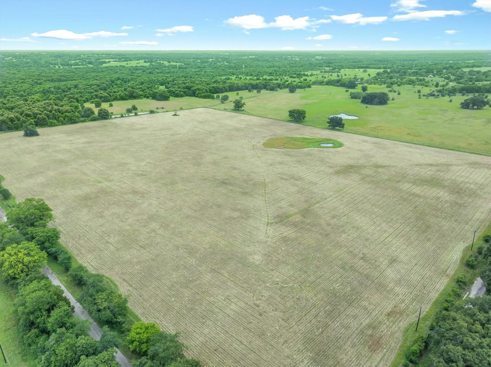 Expansive agricultural field with visible crop rows, bordered by natural tree lines and a paved road