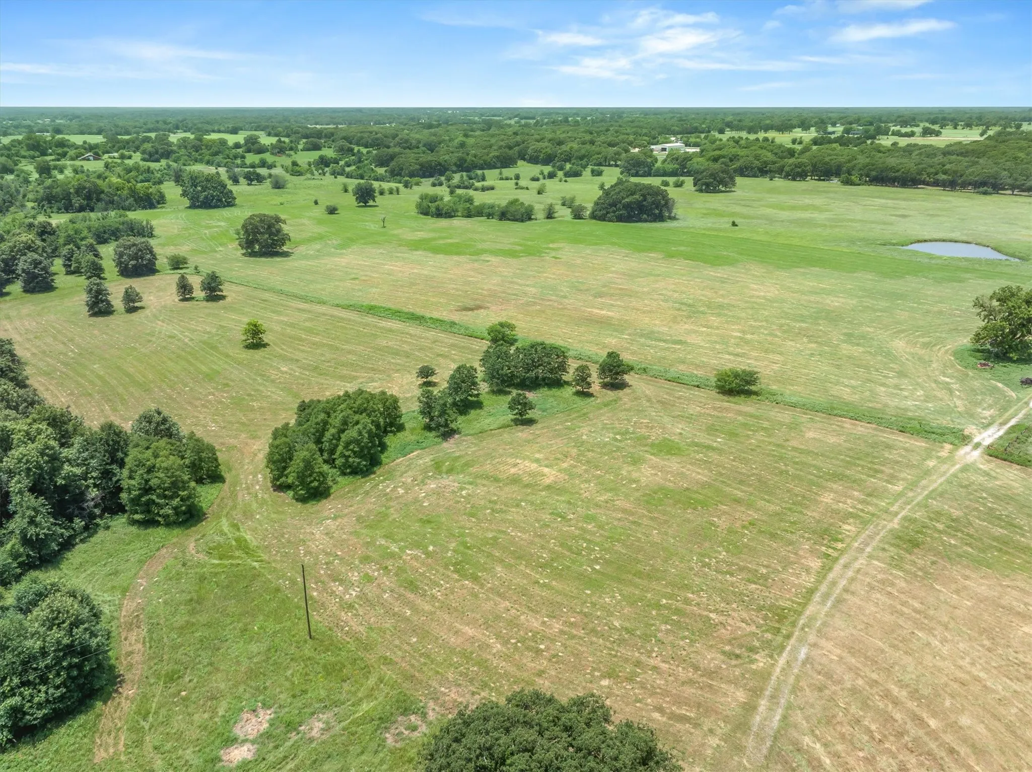 Expansive natural landscape featuring a mix of open grassy fields and clusters of mature trees
